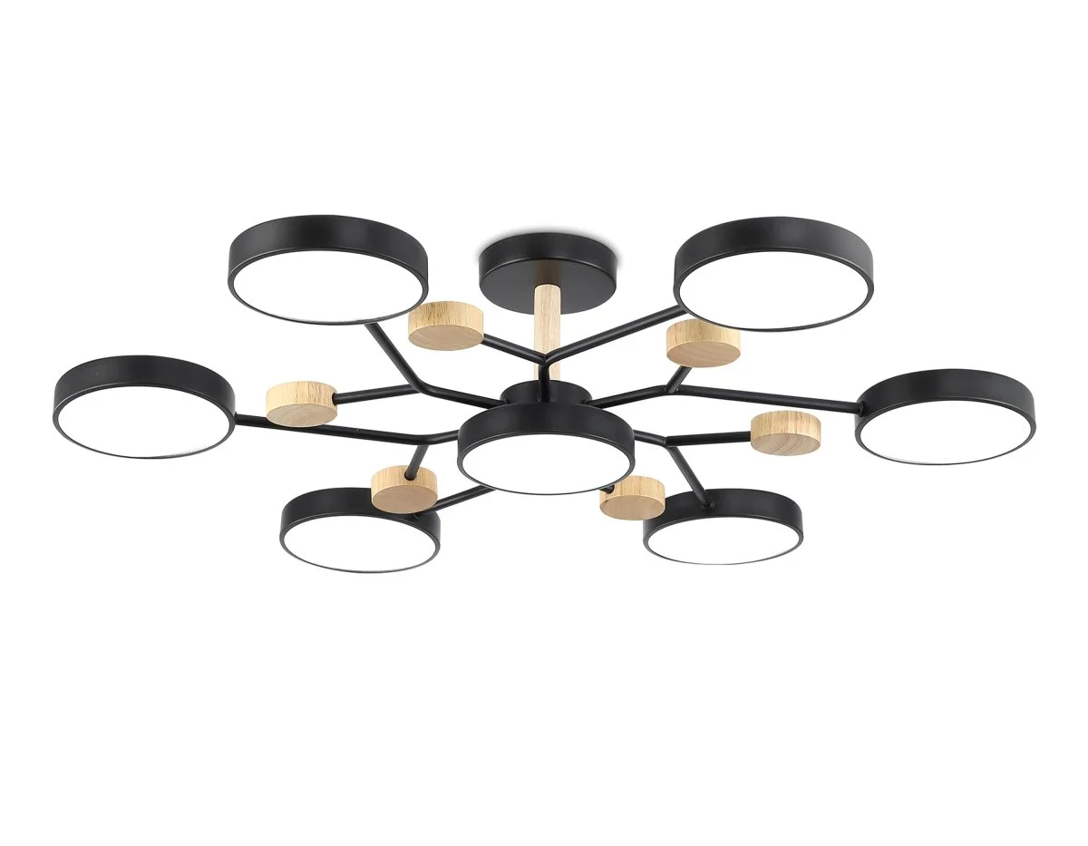 картинка Люстра светодиодная на штанге FL4866