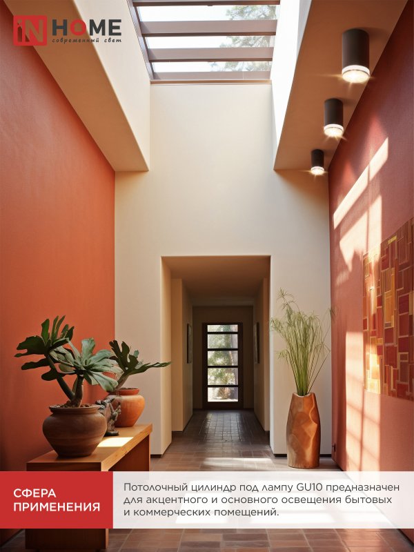 картинка Светильник потолочный НПБ ЦИЛИНДР-GU10-WL-BL под лампу GU10 55х110мм черный IN HOME