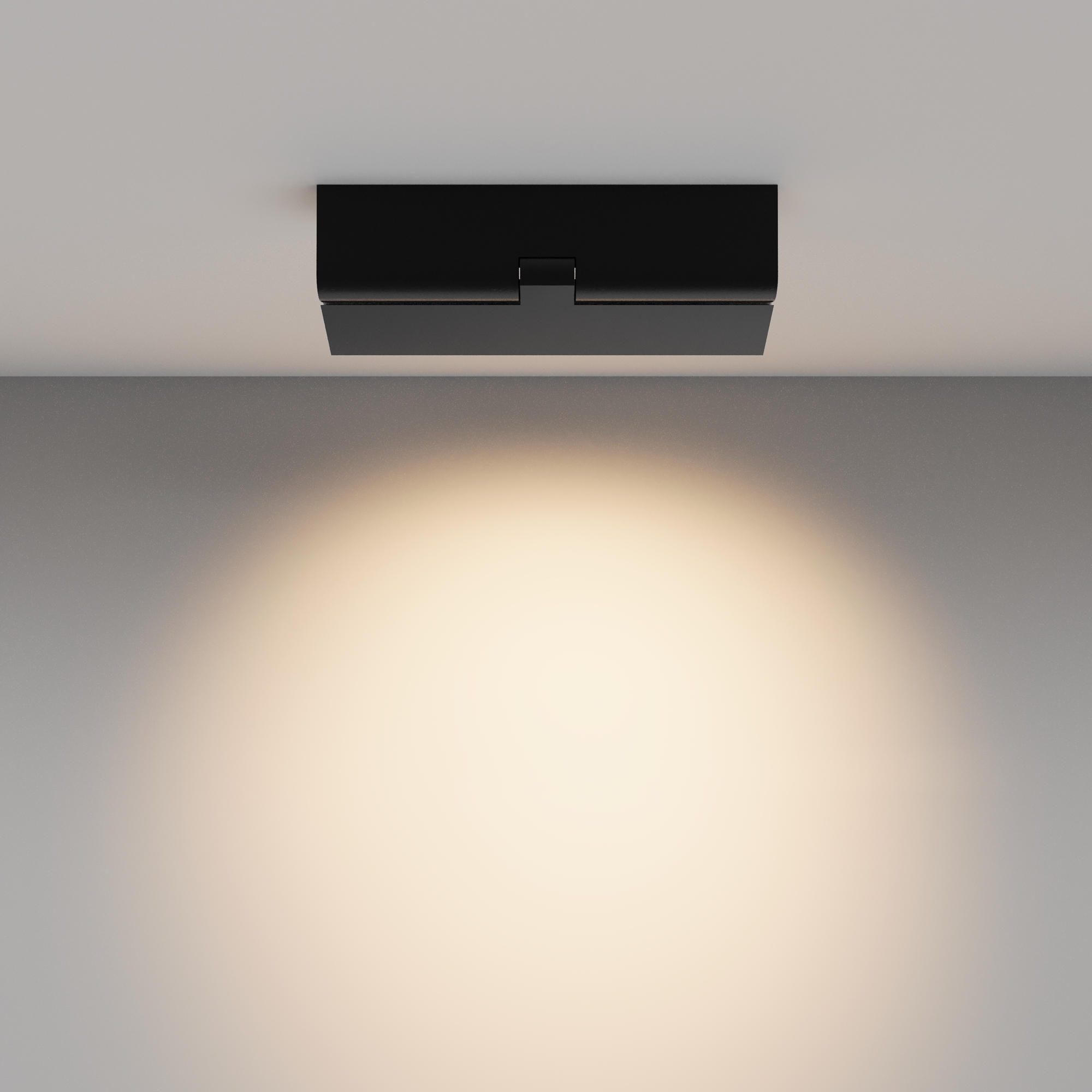 картинка Потолочный светильник Technical C136CL-12W3K-B