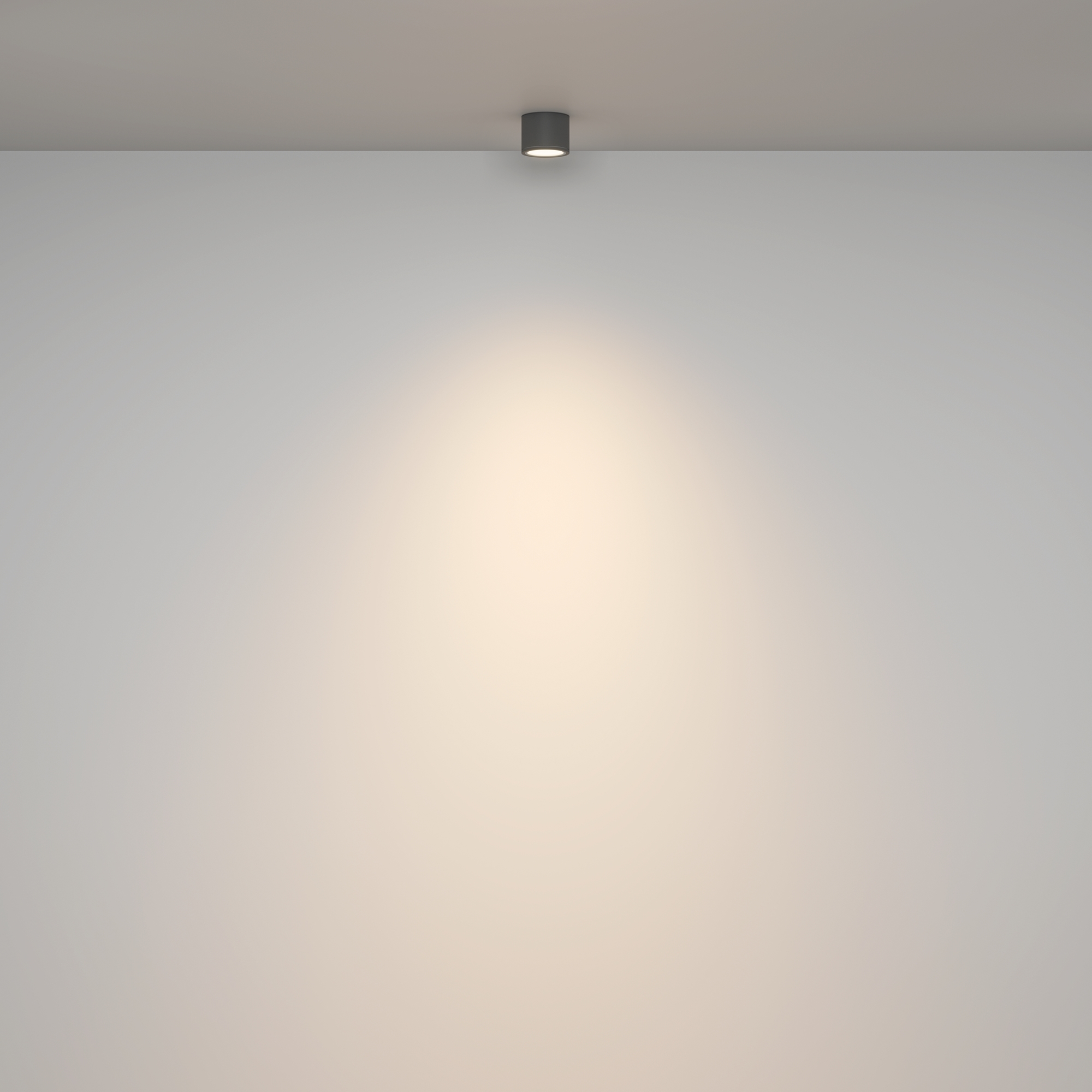 картинка Потолочный светильник Technical C095CL-GX53-GR