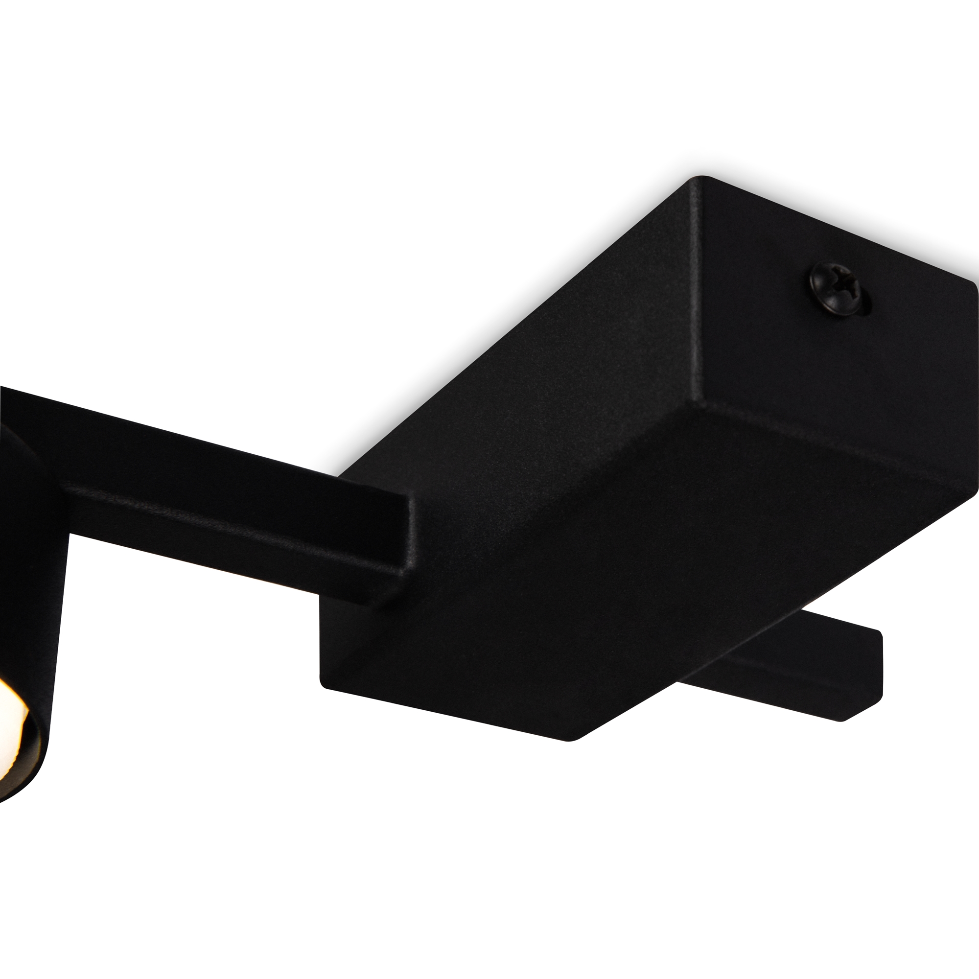 картинка Потолочный светильник Freya FR5363CL-01B