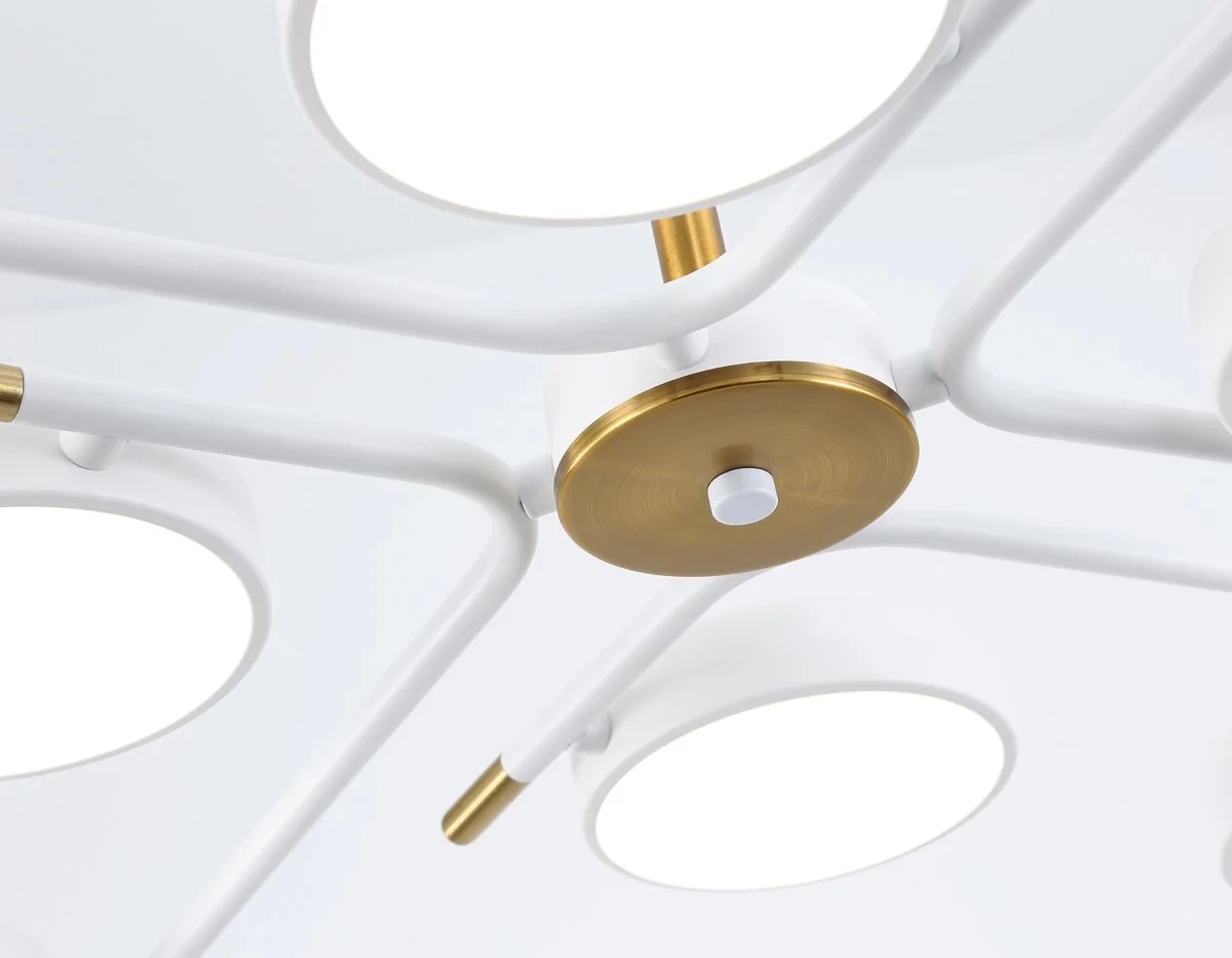 картинка Люстра светодиодная на штанге FL516338