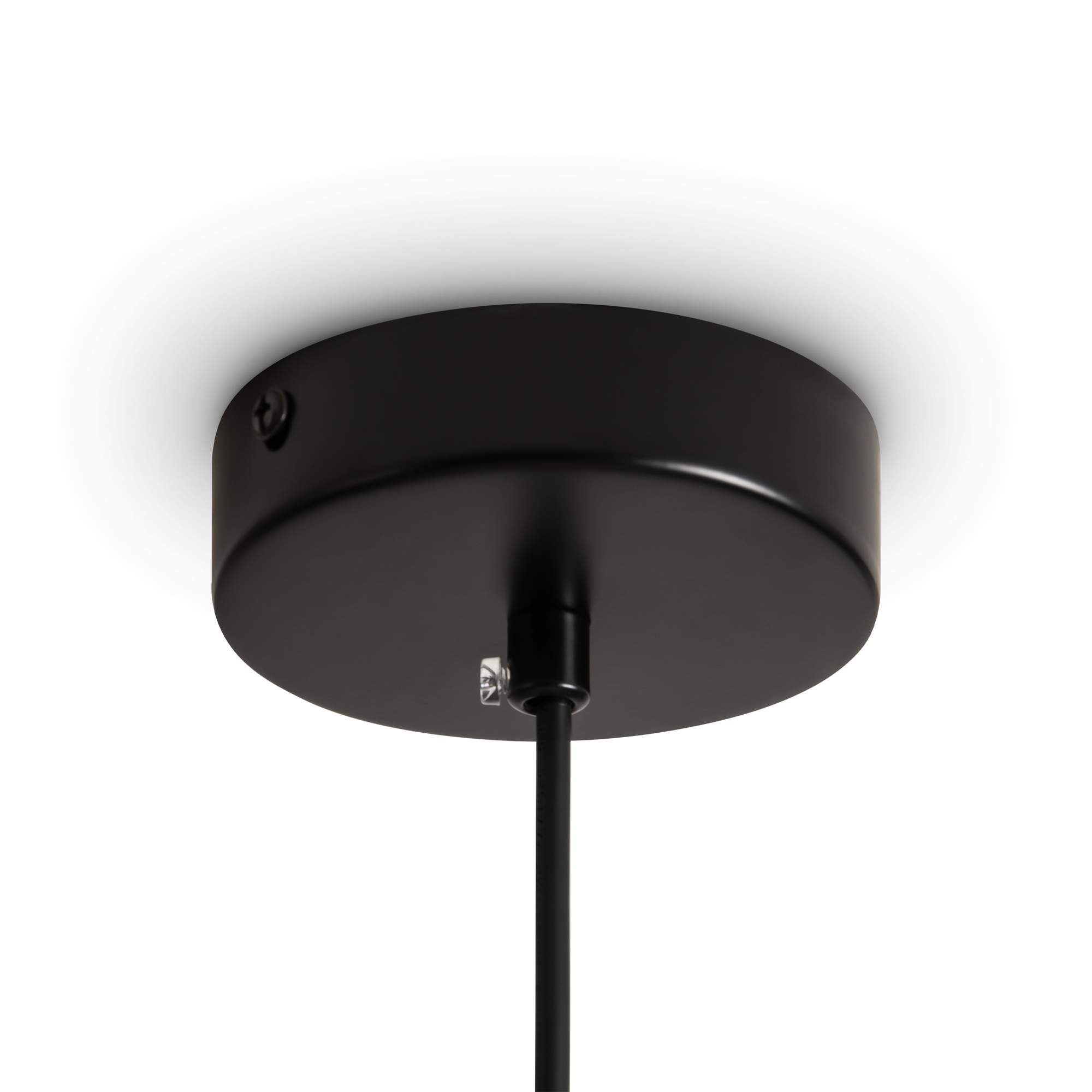 картинка Подвесной светильник Freya FR5492PL-01B