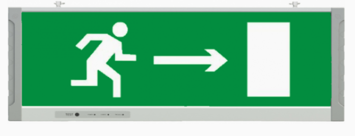 картинка Светильник TLEM 01-2-C12