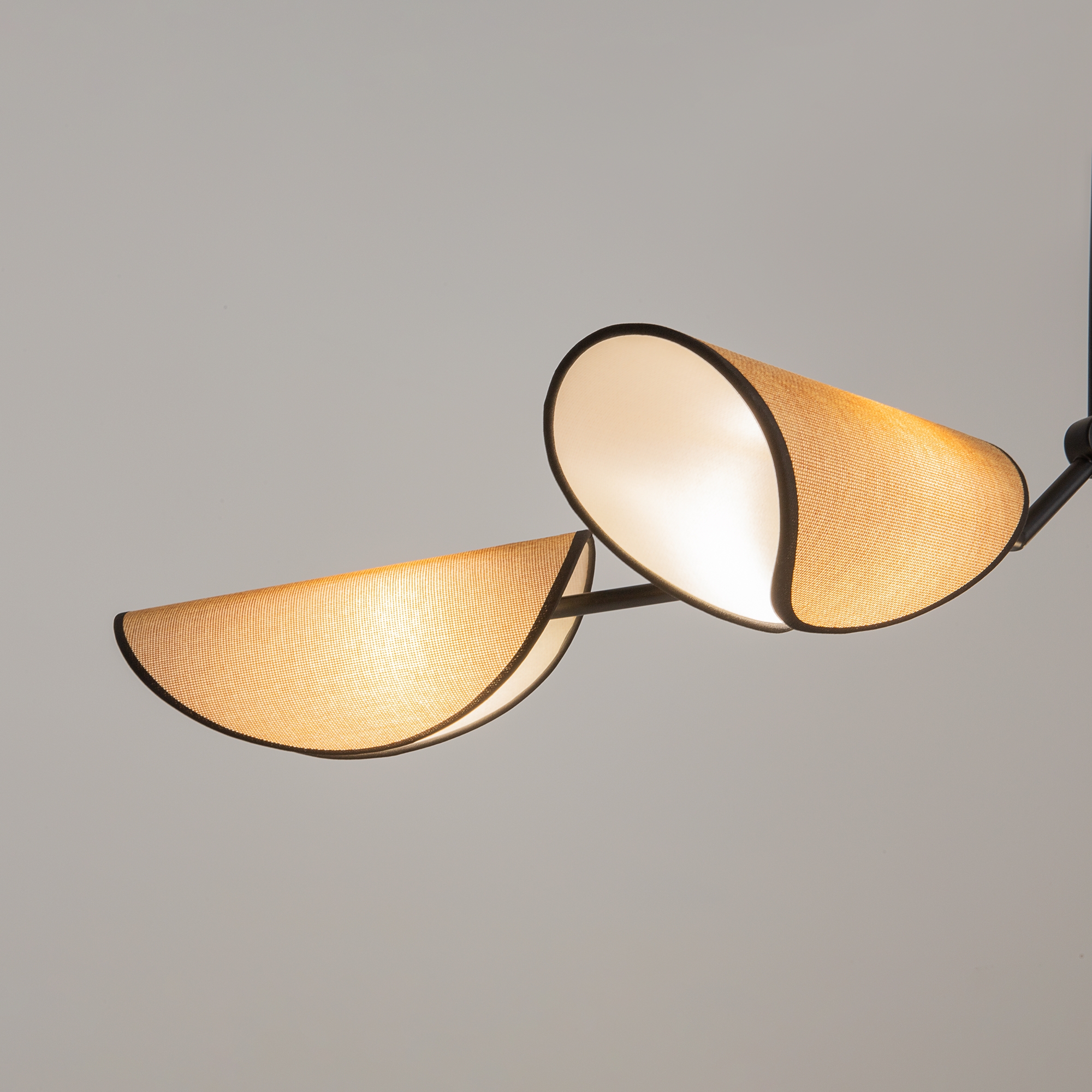 картинка Подвесной светильник Maytoni MOD225PL-04B