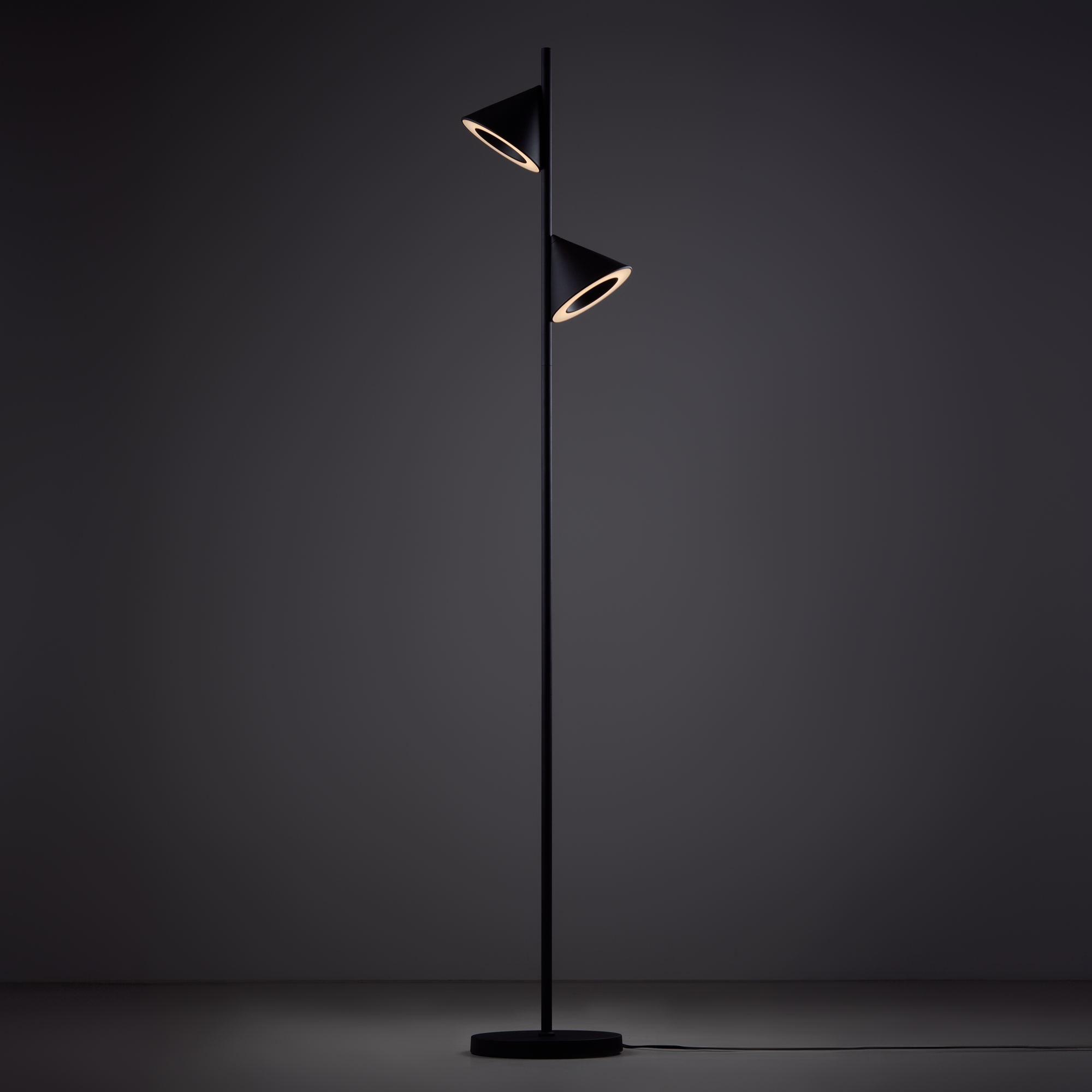 картинка Напольный светильник (торшер) Freya FR6141FL-L14B