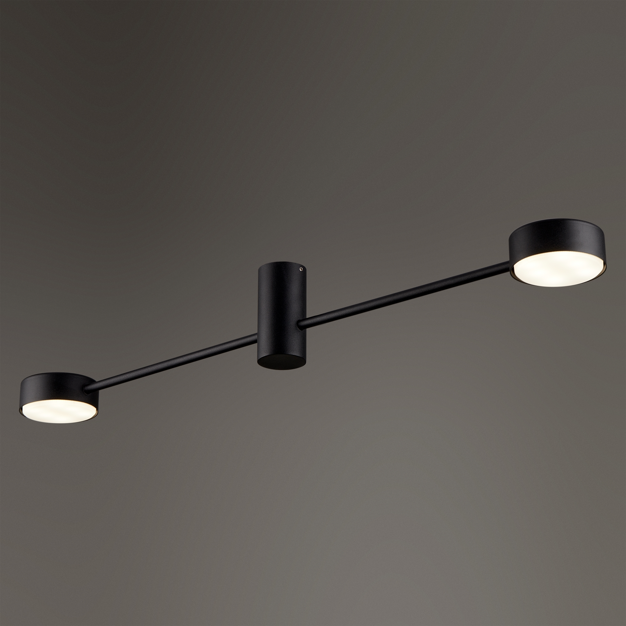 картинка Потолочный светильник Freya FR5363CL-02B1