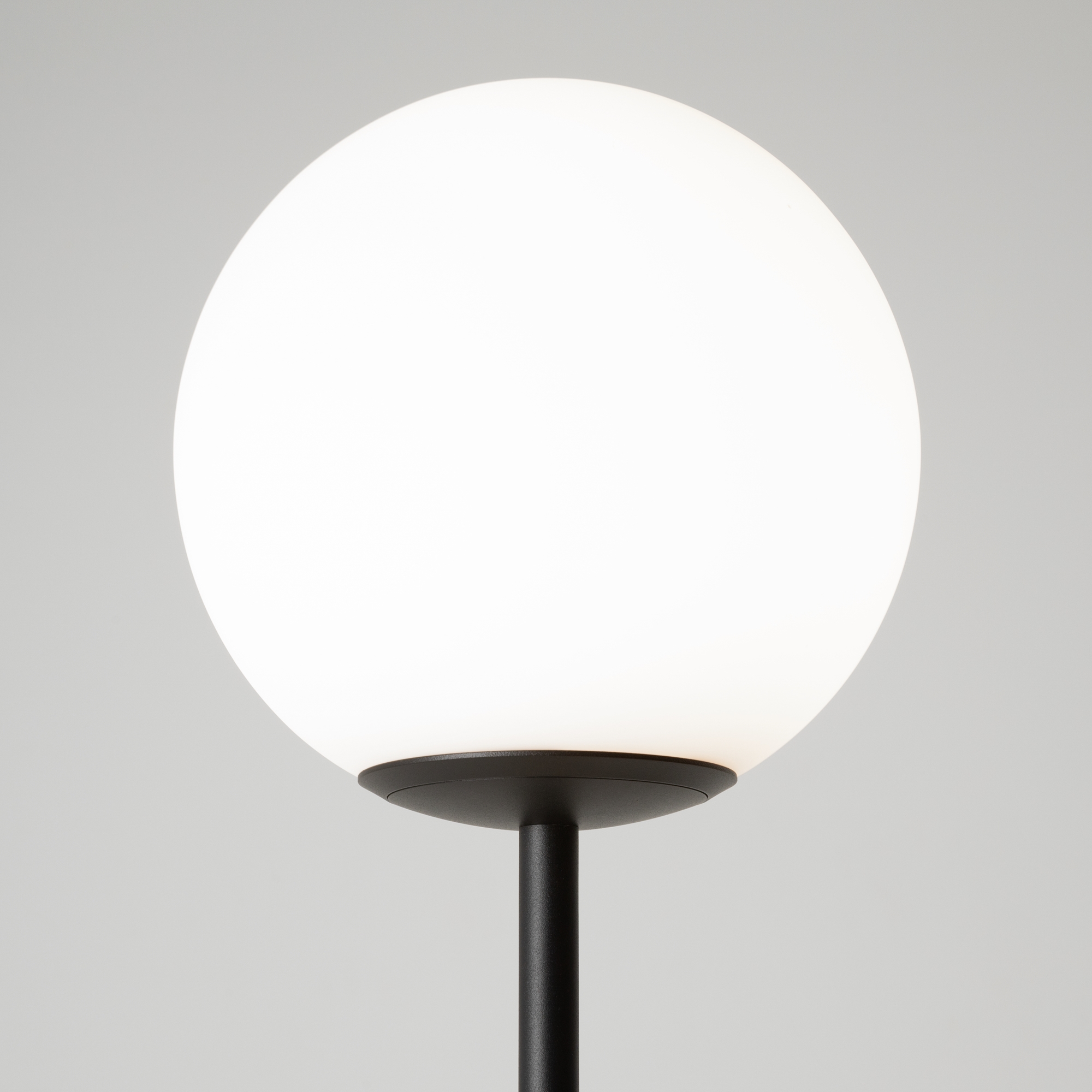 картинка Напольный светильник (торшер) Maytoni MOD427FL-L20B3K