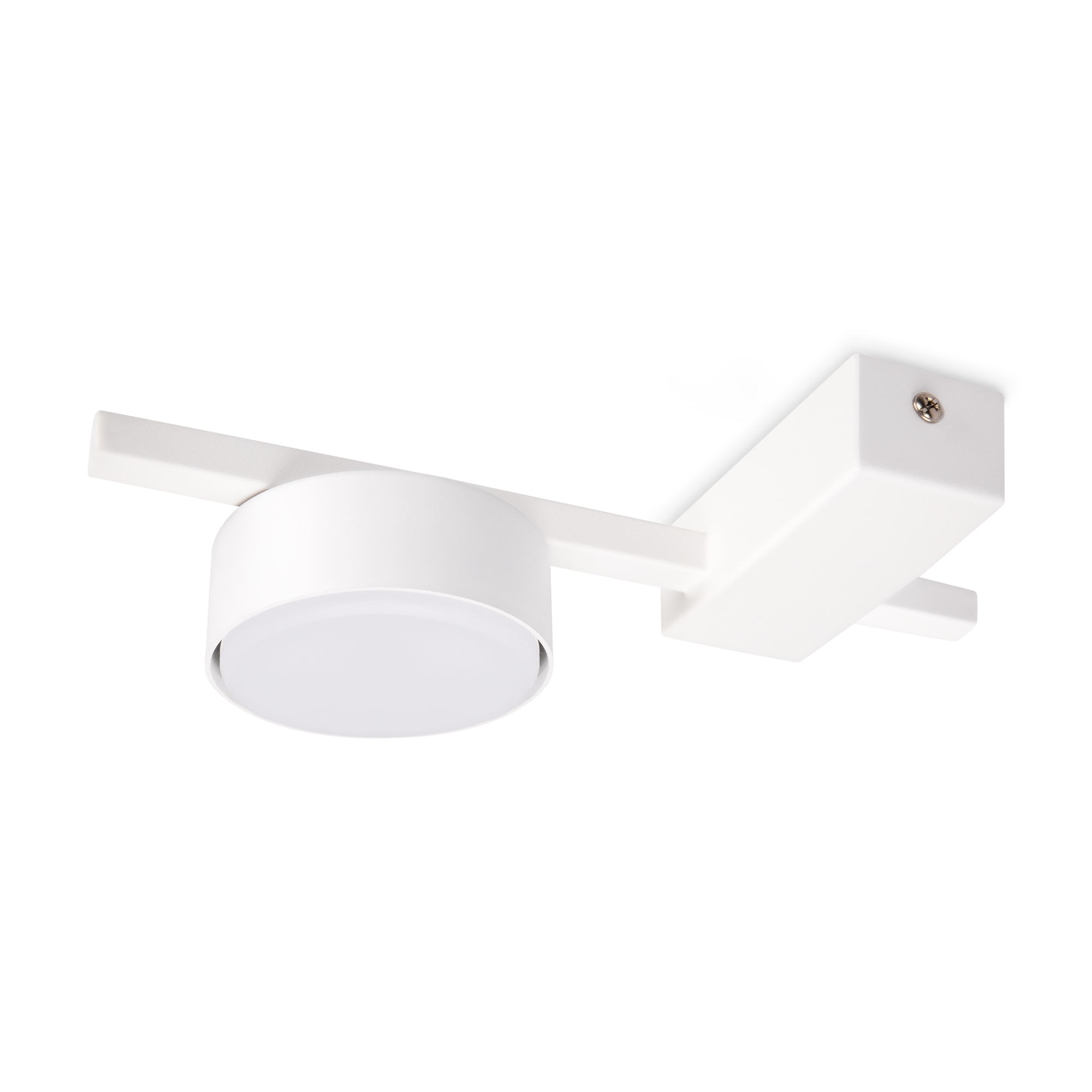 картинка Потолочный светильник Freya FR5363CL-01W