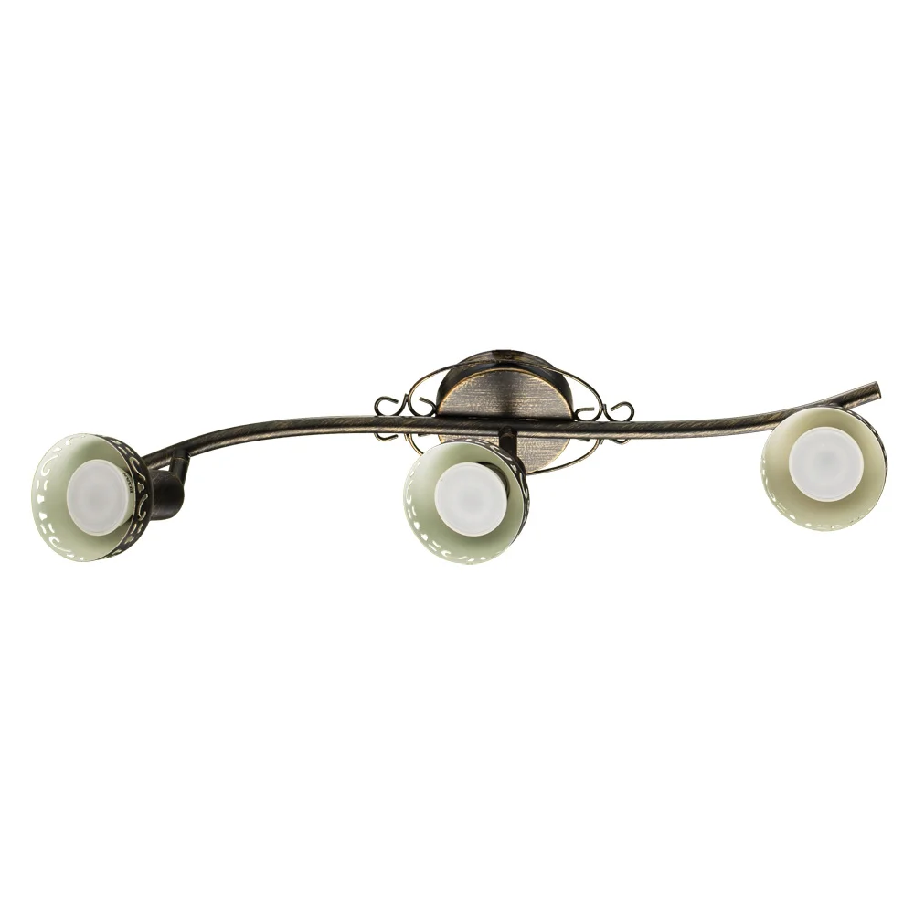 картинка Спот Arte Lamp FOCUS A5219PL-3BR