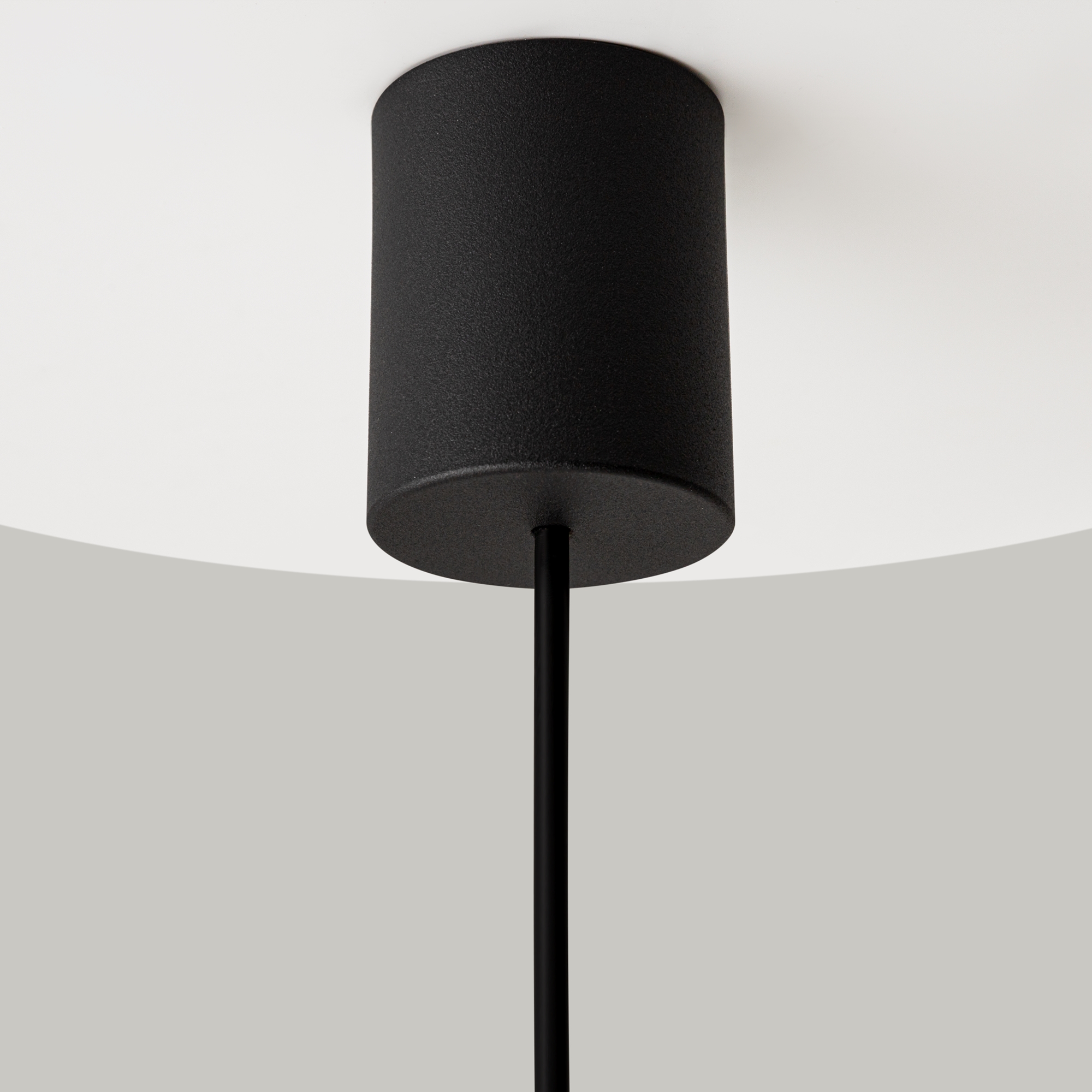 картинка Подвесной светильник Maytoni MOD255PL-01B2