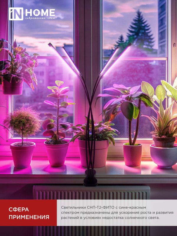 картинка Светильник настольный на прищепке светодиодный СНП-Т2-ФИТО 4П40 красно-синий 40Вт 4 плафона, пульт на шнуре IN HOME