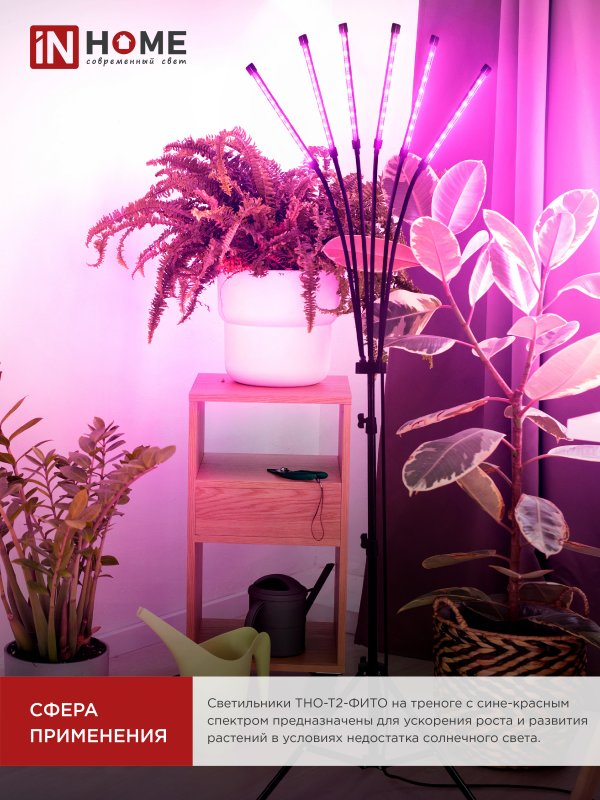 картинка Светильник напольный на треноге светодиодный ТНО-Т2-ФИТО красно-синий 6Т60 60Вт 6 плафонов, пульт на шнуре IN HOME