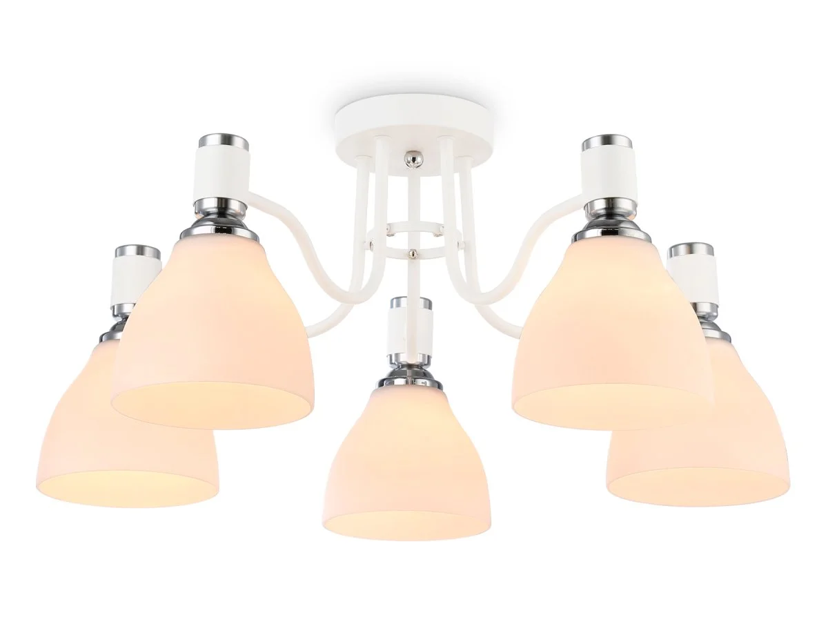 картинка Потолочный светильник TR303305