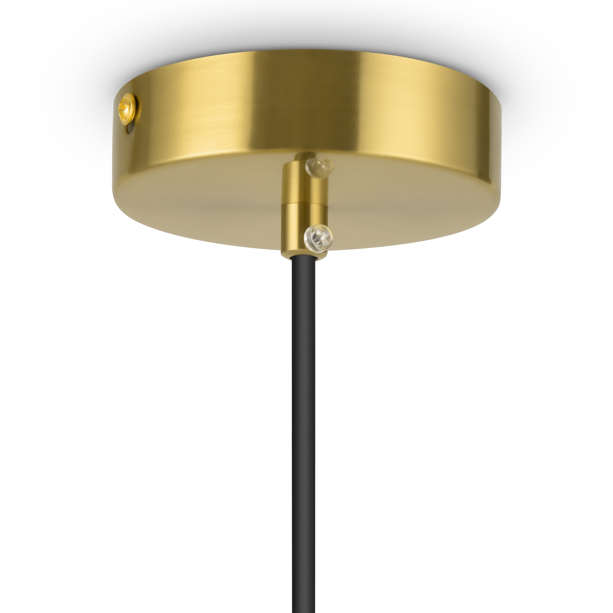 картинка Подвесной светильник Freya FR5218PL-01BS