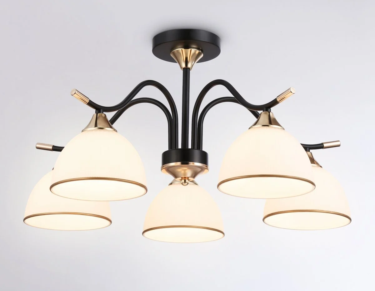 картинка Подвесной светильник TR3162