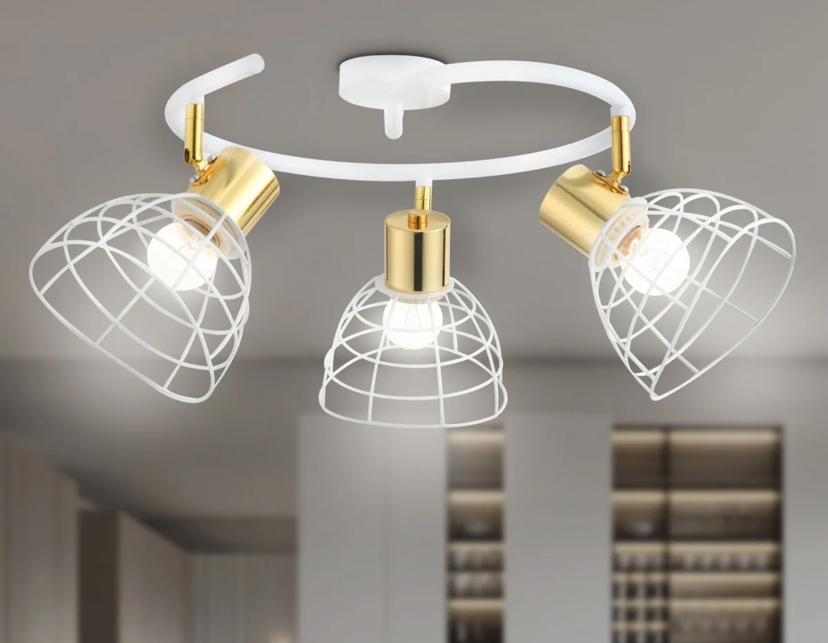 картинка Настенно-потолочный спот в стиле лофт TR8605