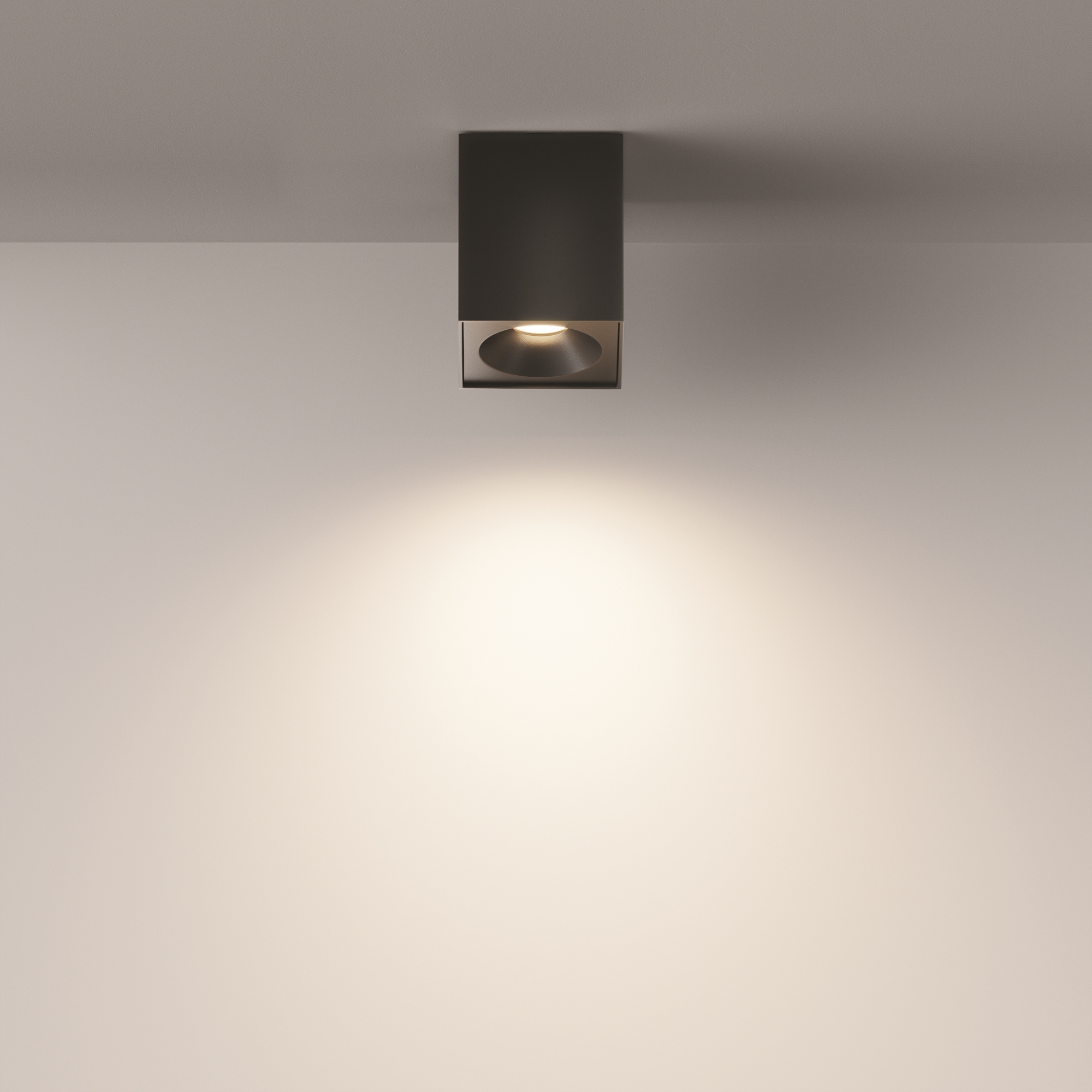 картинка Потолочный светильник Technical C030CL-01B