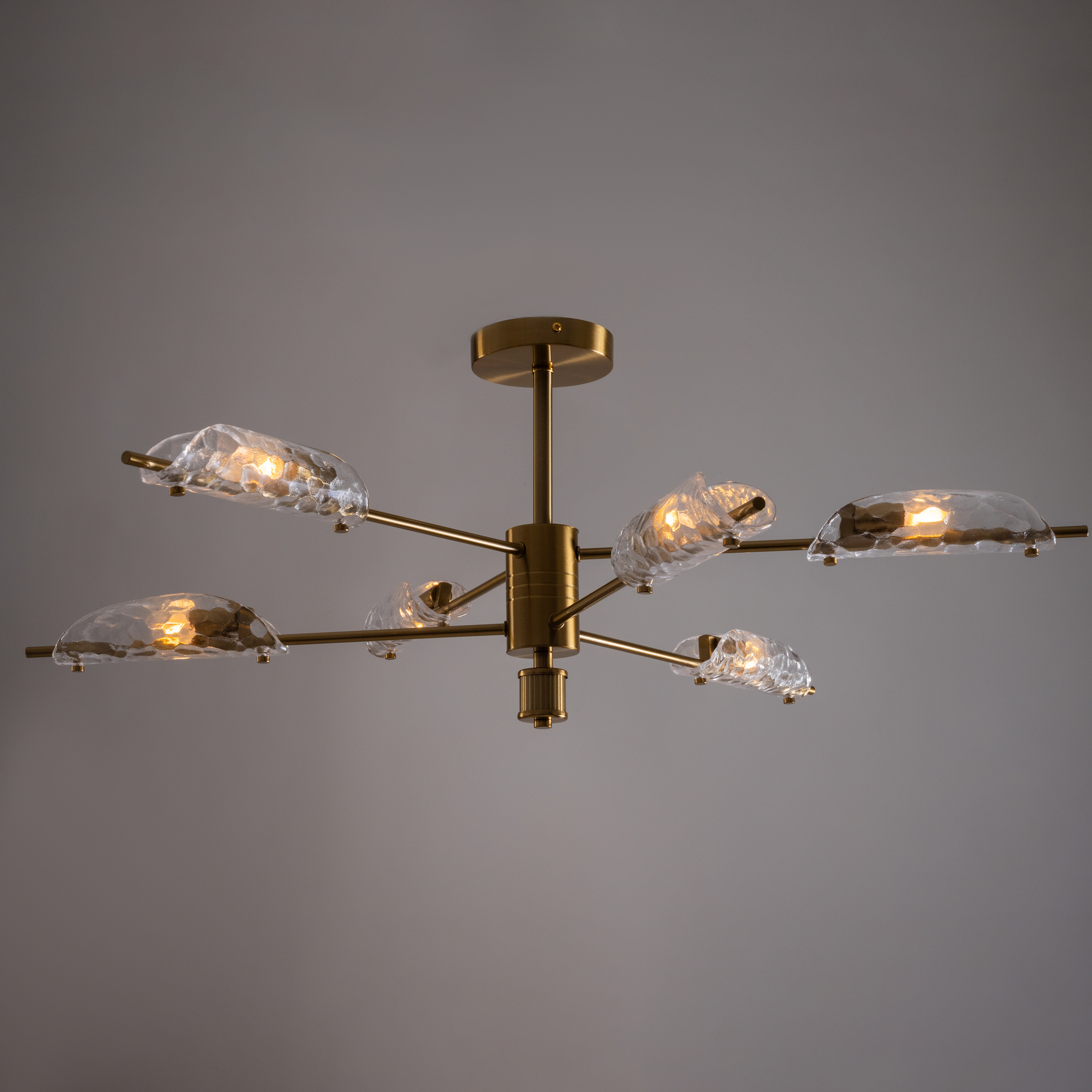 картинка Потолочный светильник Freya FR5420CL-06BS