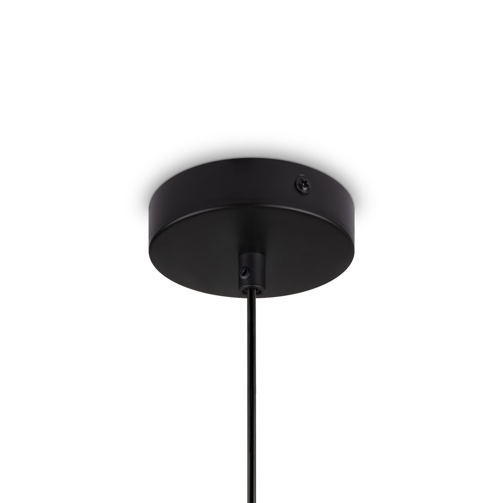 картинка Подвесной светильник Freya FR5390PL-01W