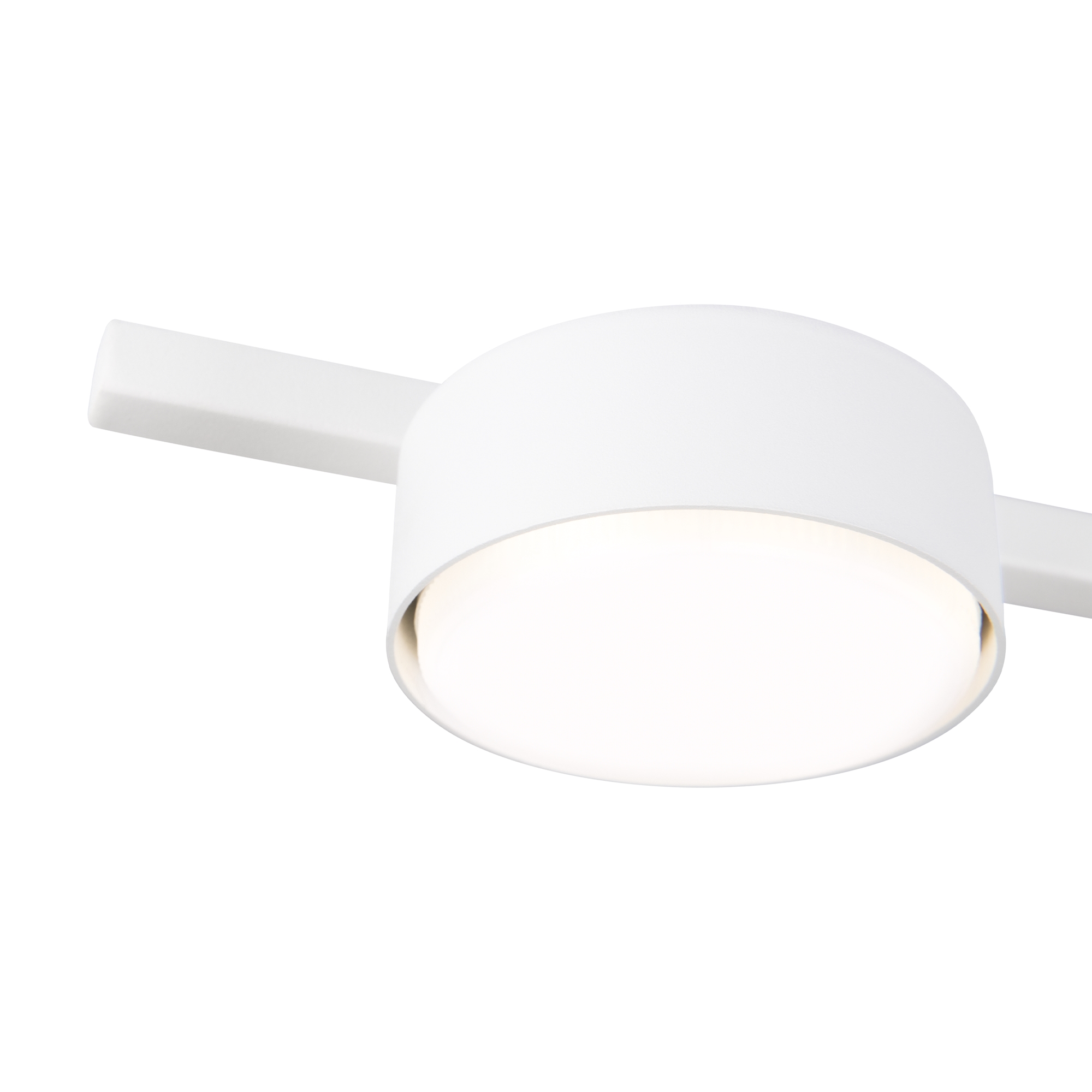 картинка Потолочный светильник Freya FR5363CL-03W