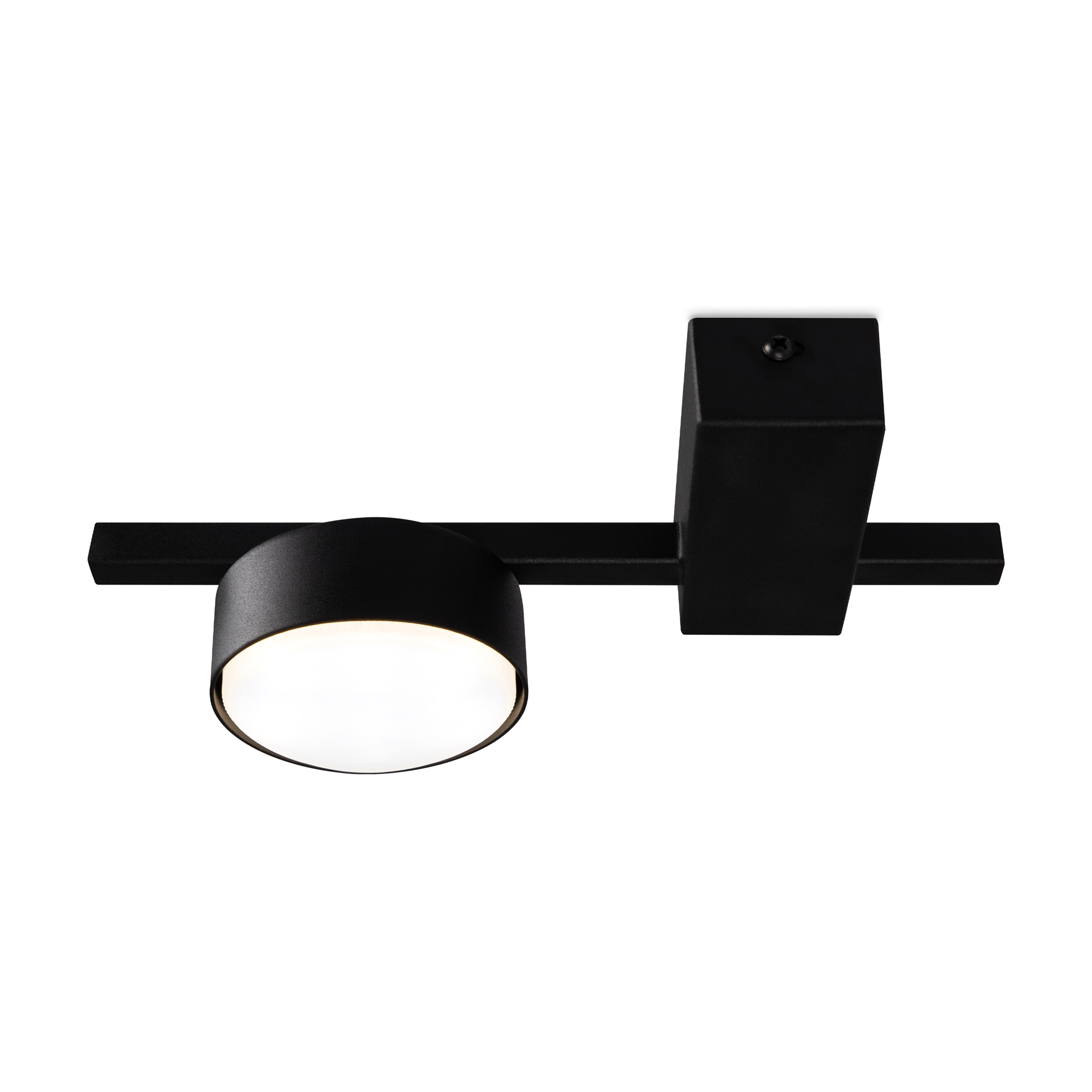 картинка Потолочный светильник Freya FR5363CL-01B