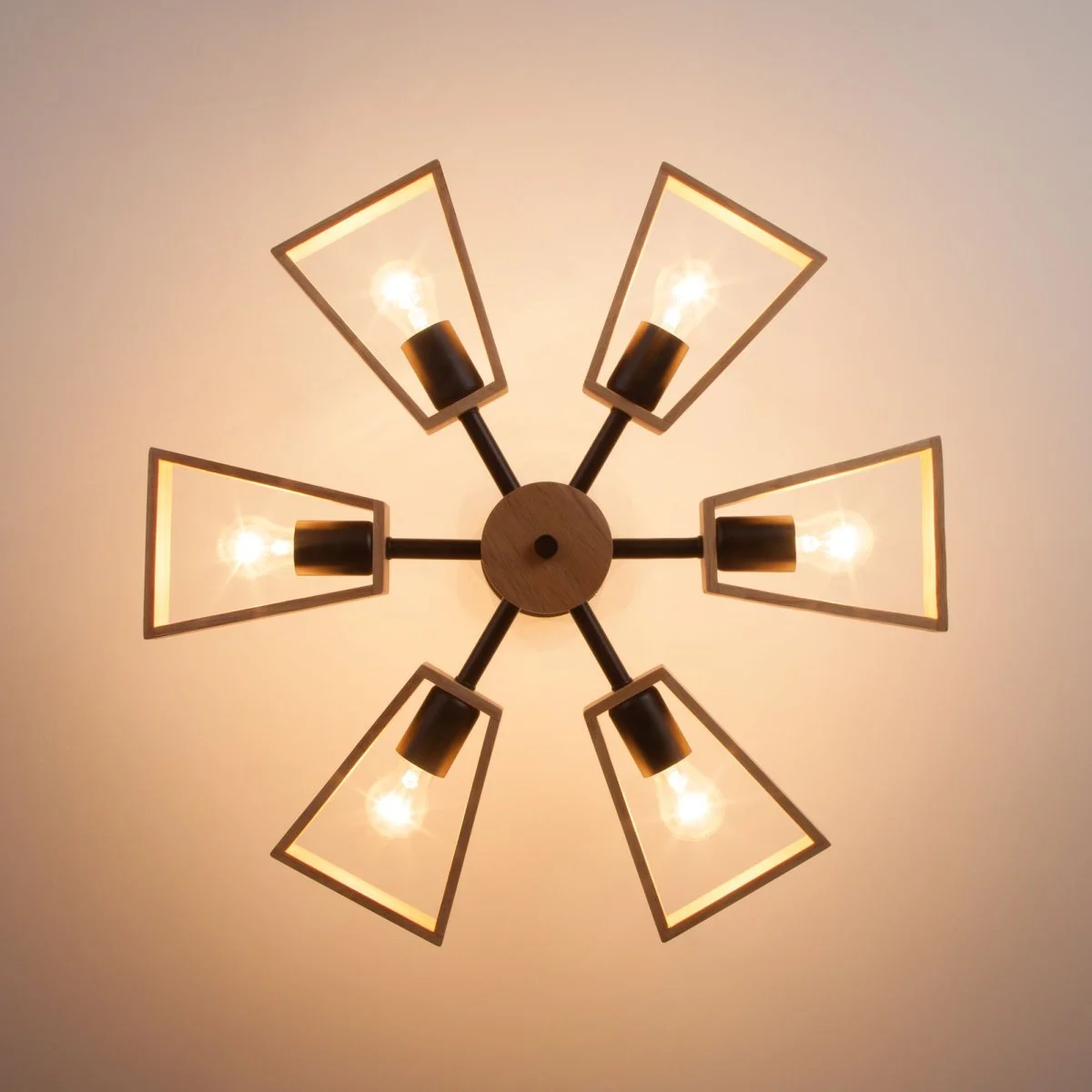 картинка Потолочная люстра в стиле лофт 70056/6 черный