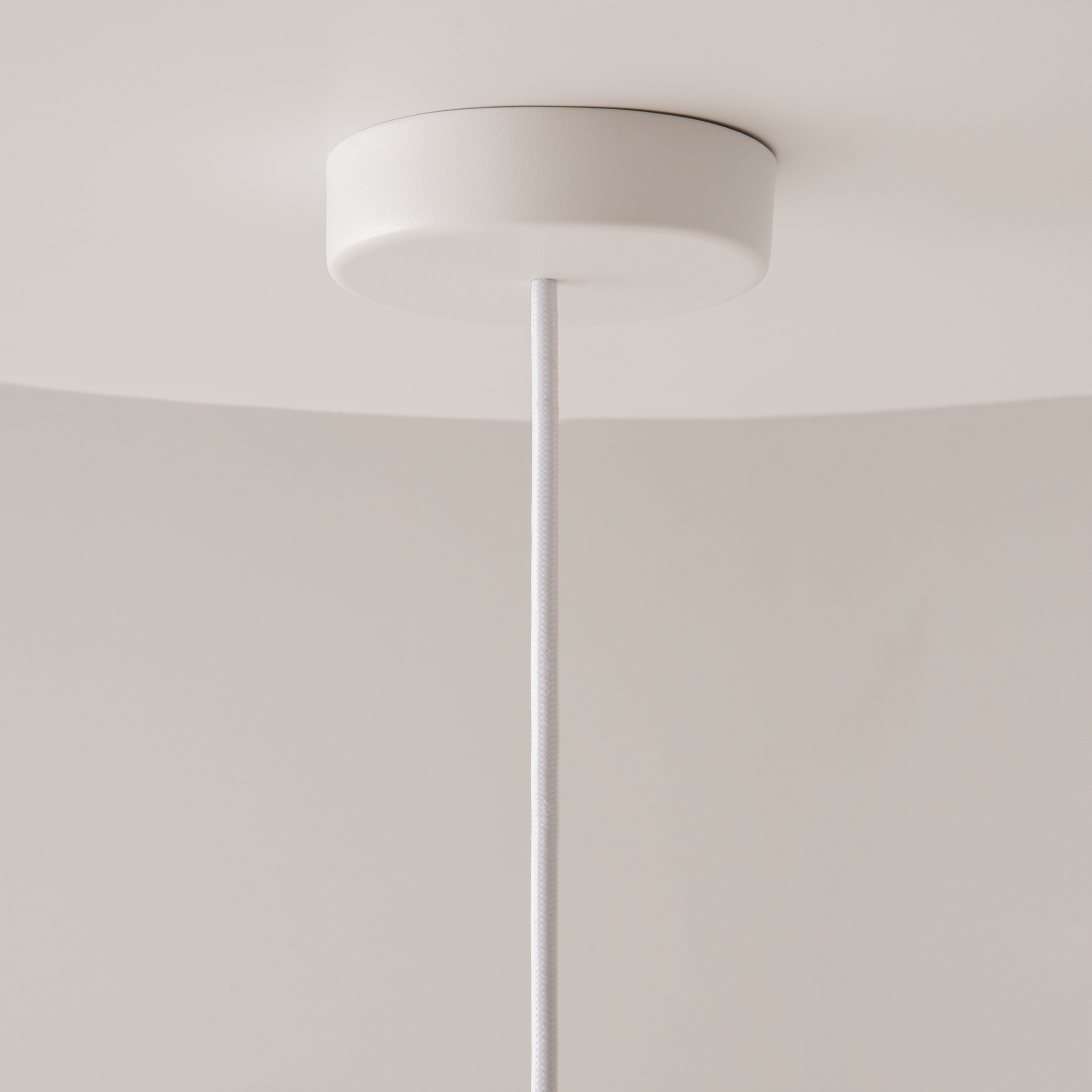 картинка Подвесной светильник Maytoni MOD405PL-01W