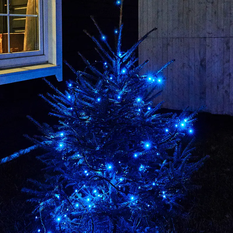 картинка Гирлянда Нить управляемая 10м 100 LED СИНИЙ черный ПВХ IP 65 свечение с динамикой 230В контроллер в комплекте NEON-NIGHT