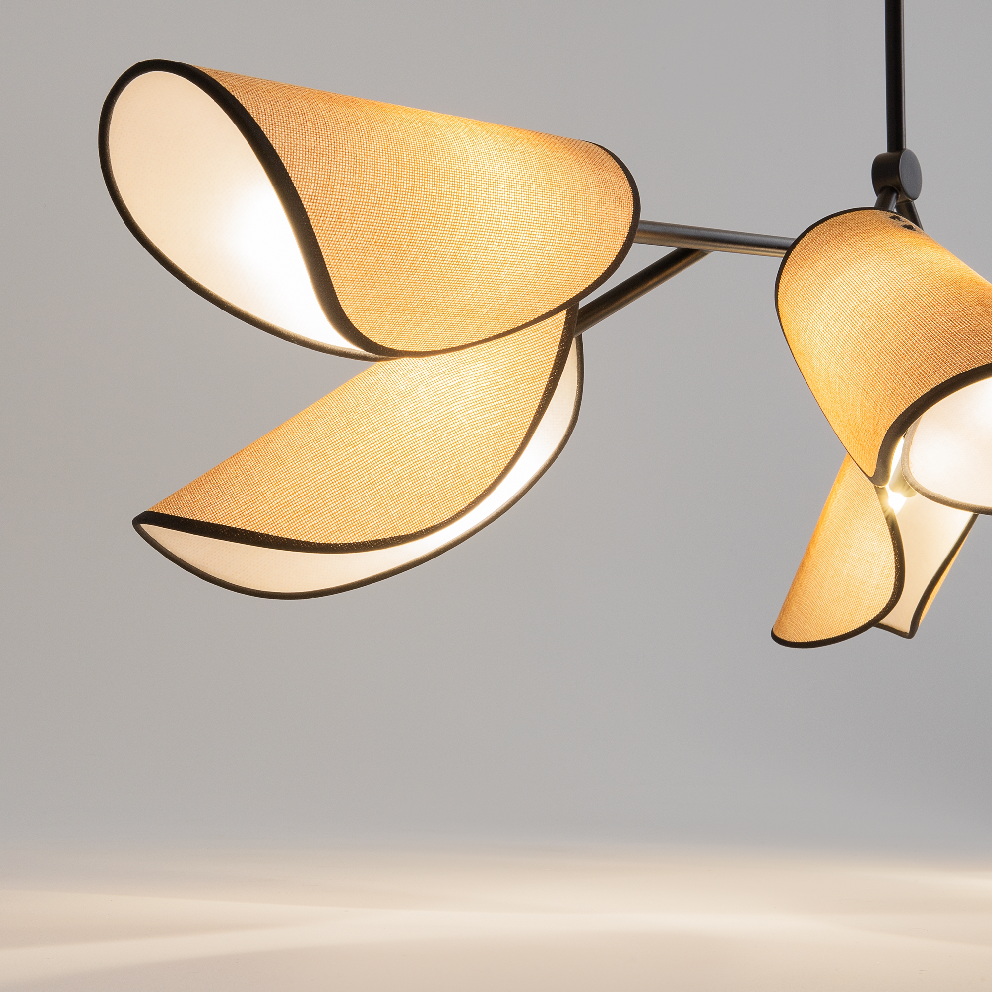 картинка Подвесной светильник Maytoni MOD225PL-06B