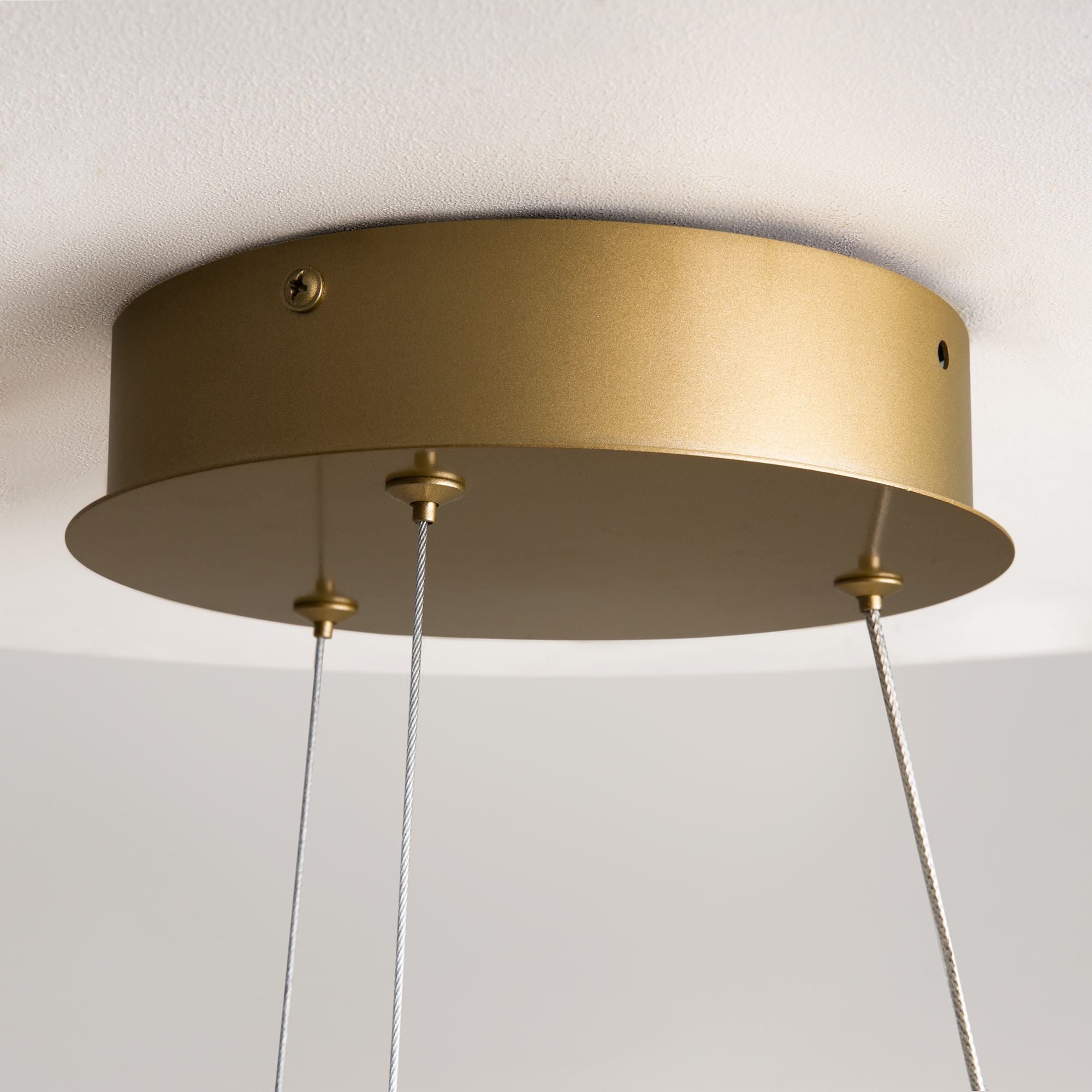 картинка Подвесной светильник Maytoni MOD241PL-L60BSK