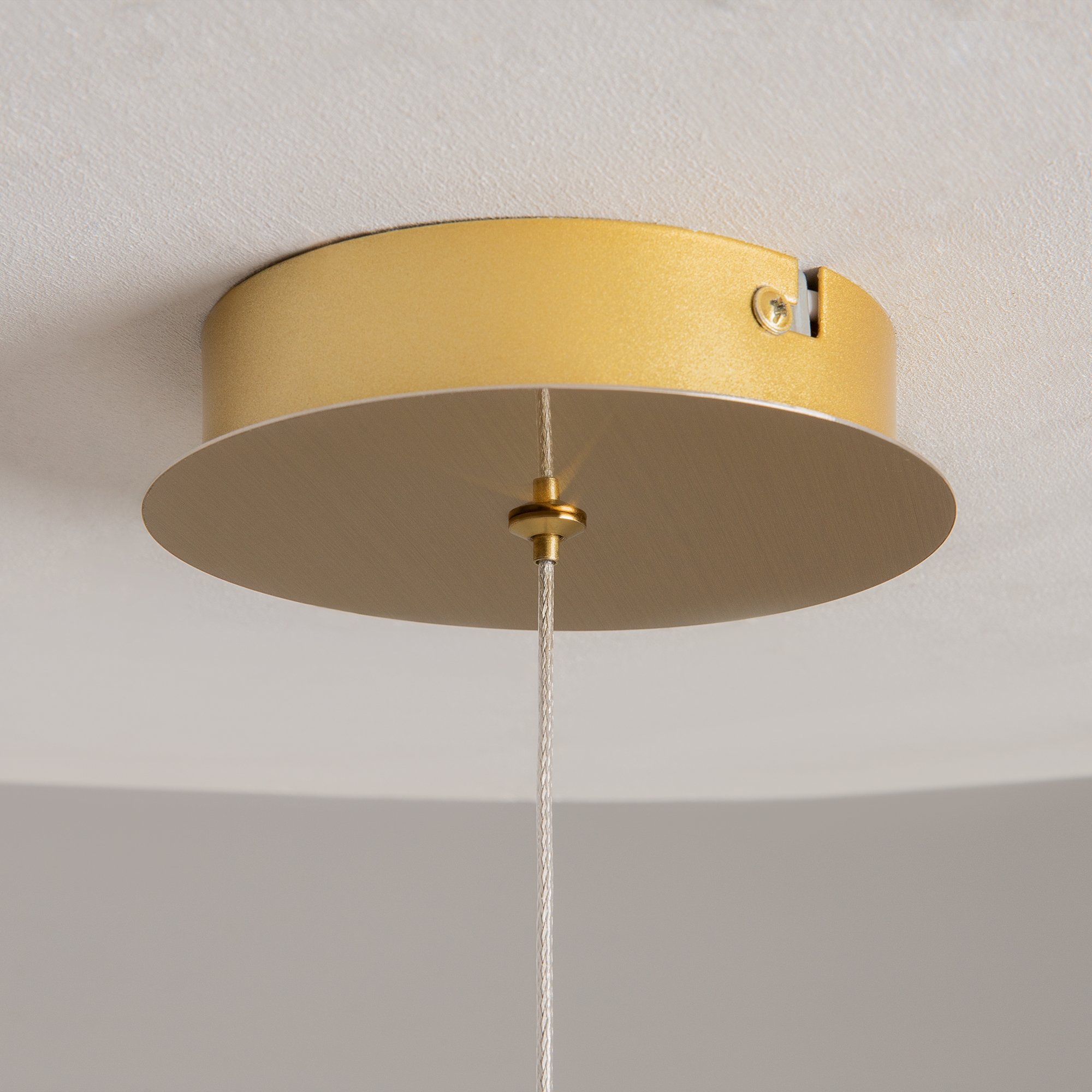 картинка Подвесной светильник Maytoni MOD347PL-L8BS3K