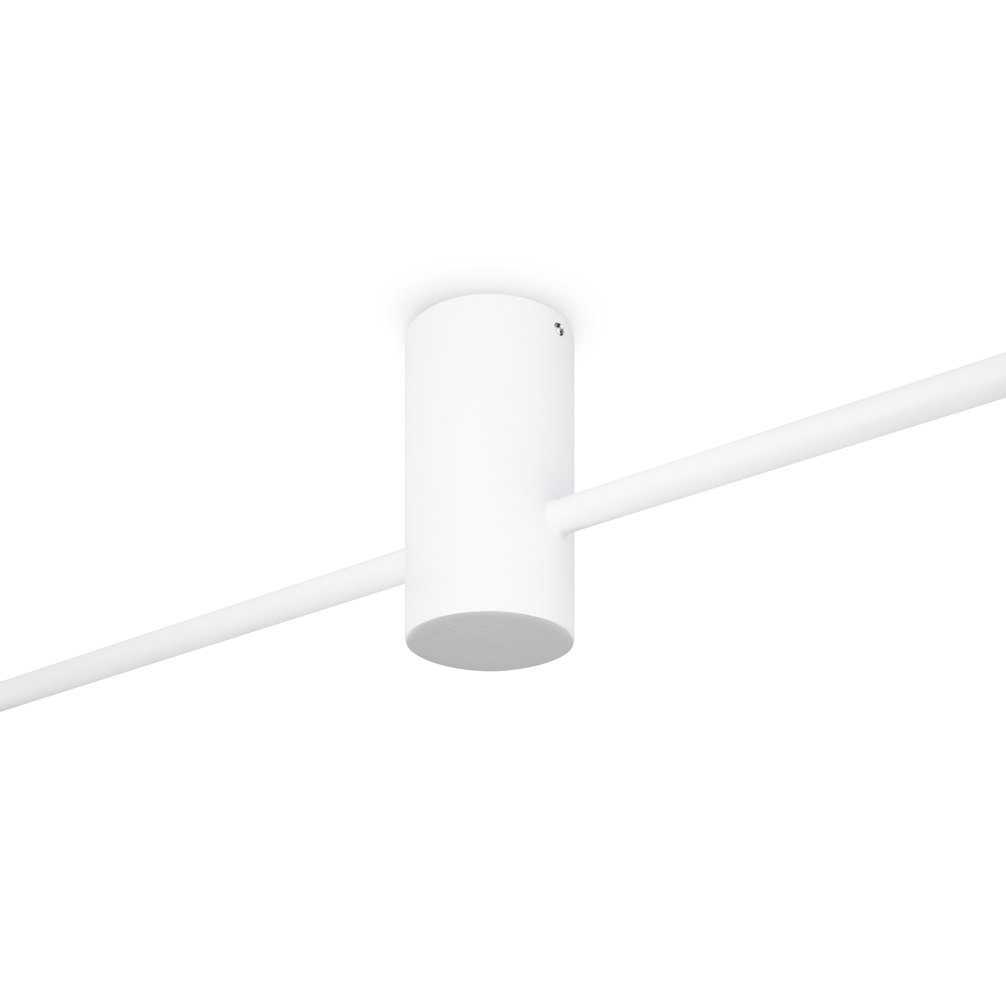 картинка Потолочный светильник Freya FR5363CL-02W1