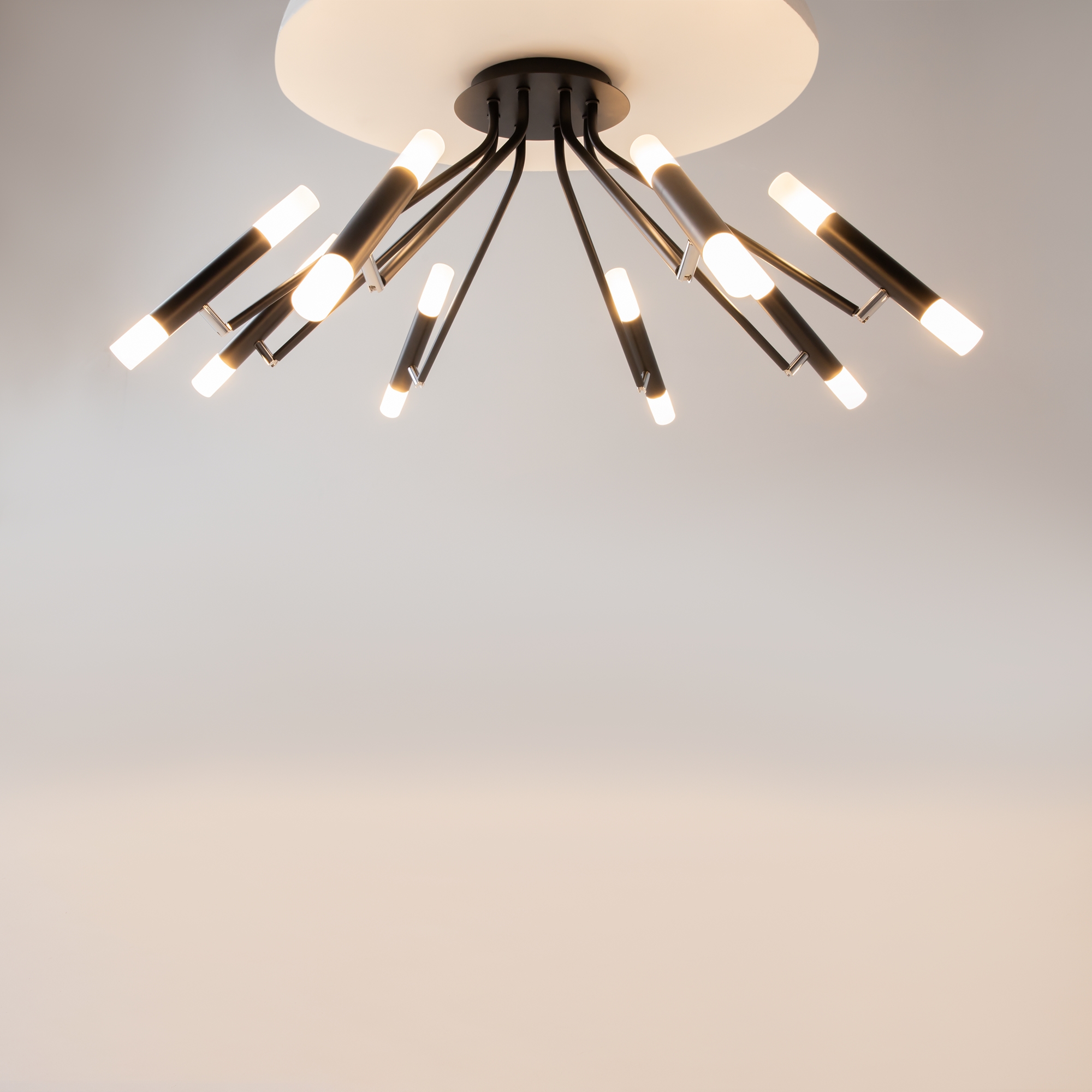 картинка Потолочный светильник Maytoni MOD620CL-16B