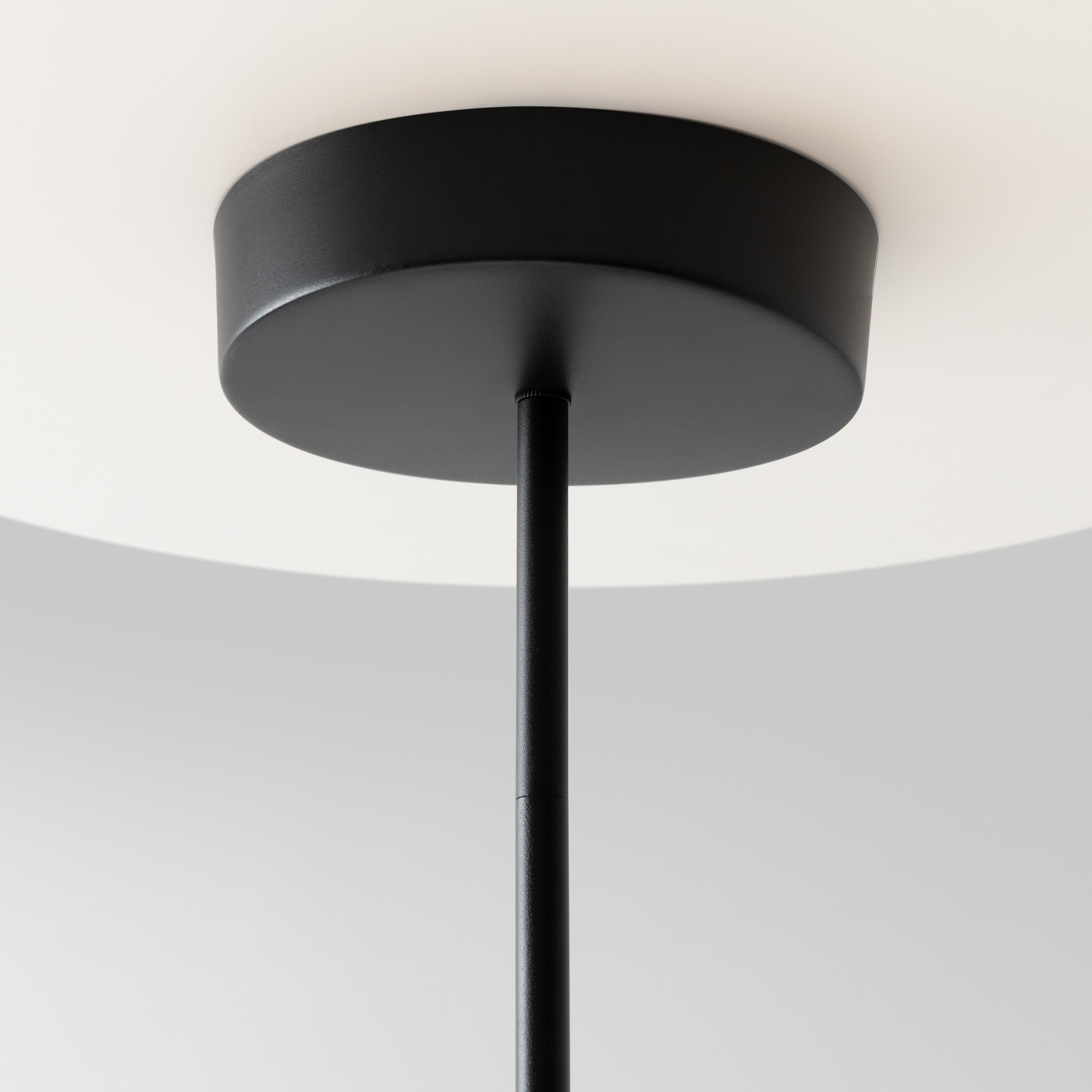 картинка Подвесной светильник Maytoni MOD428PL-L20BK