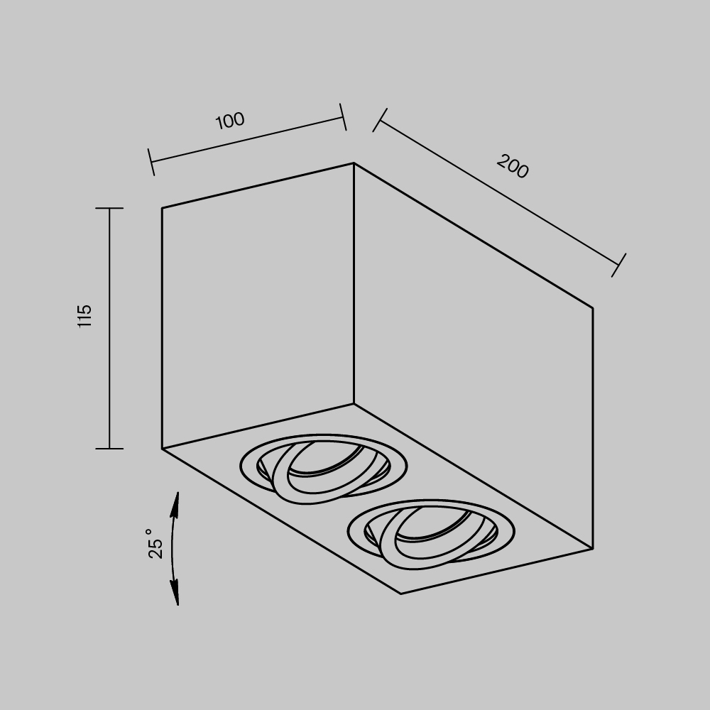картинка Потолочный светильник Technical C017CL-02B