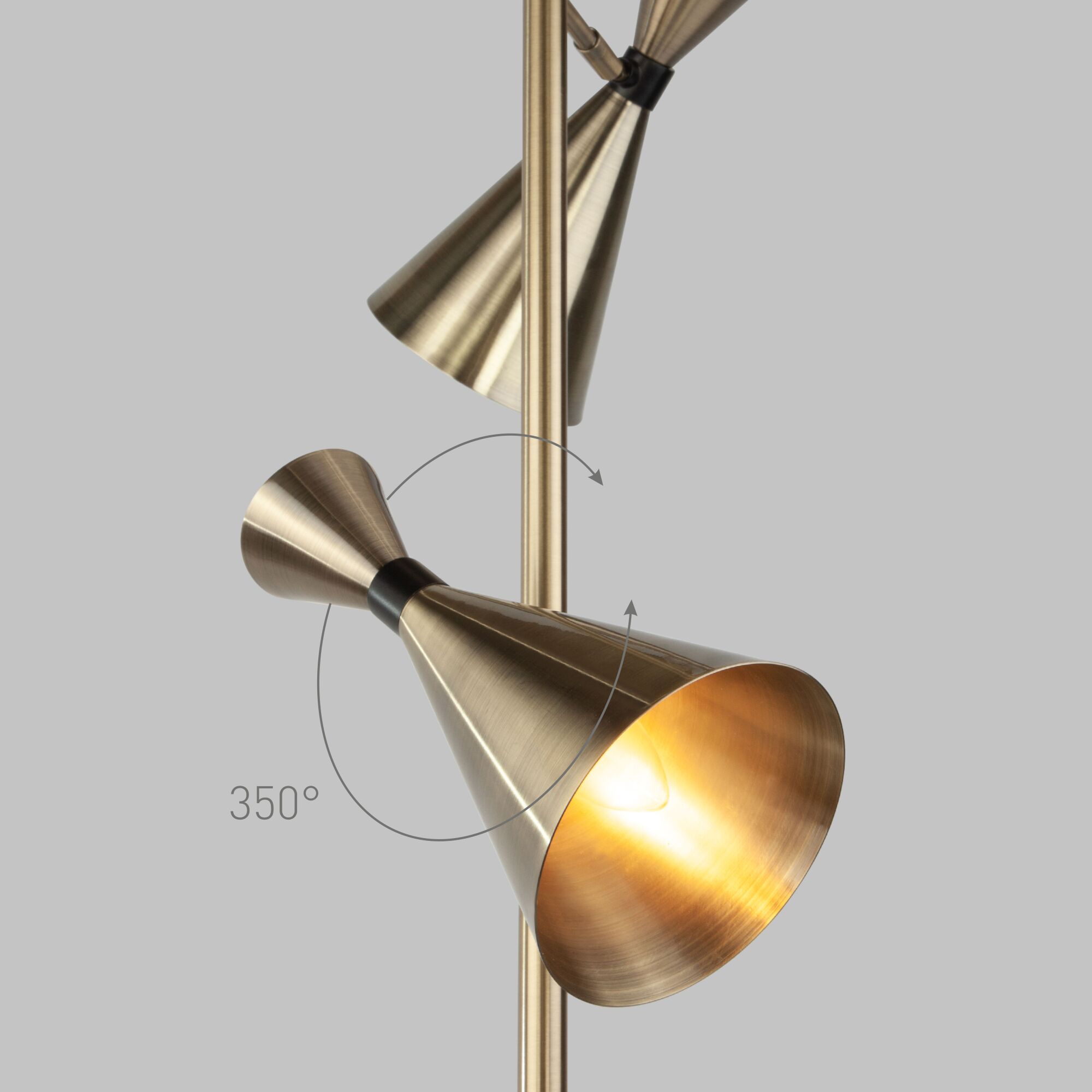 картинка Торшер с поворотными плафонами 01109/2 латунь  / Черный