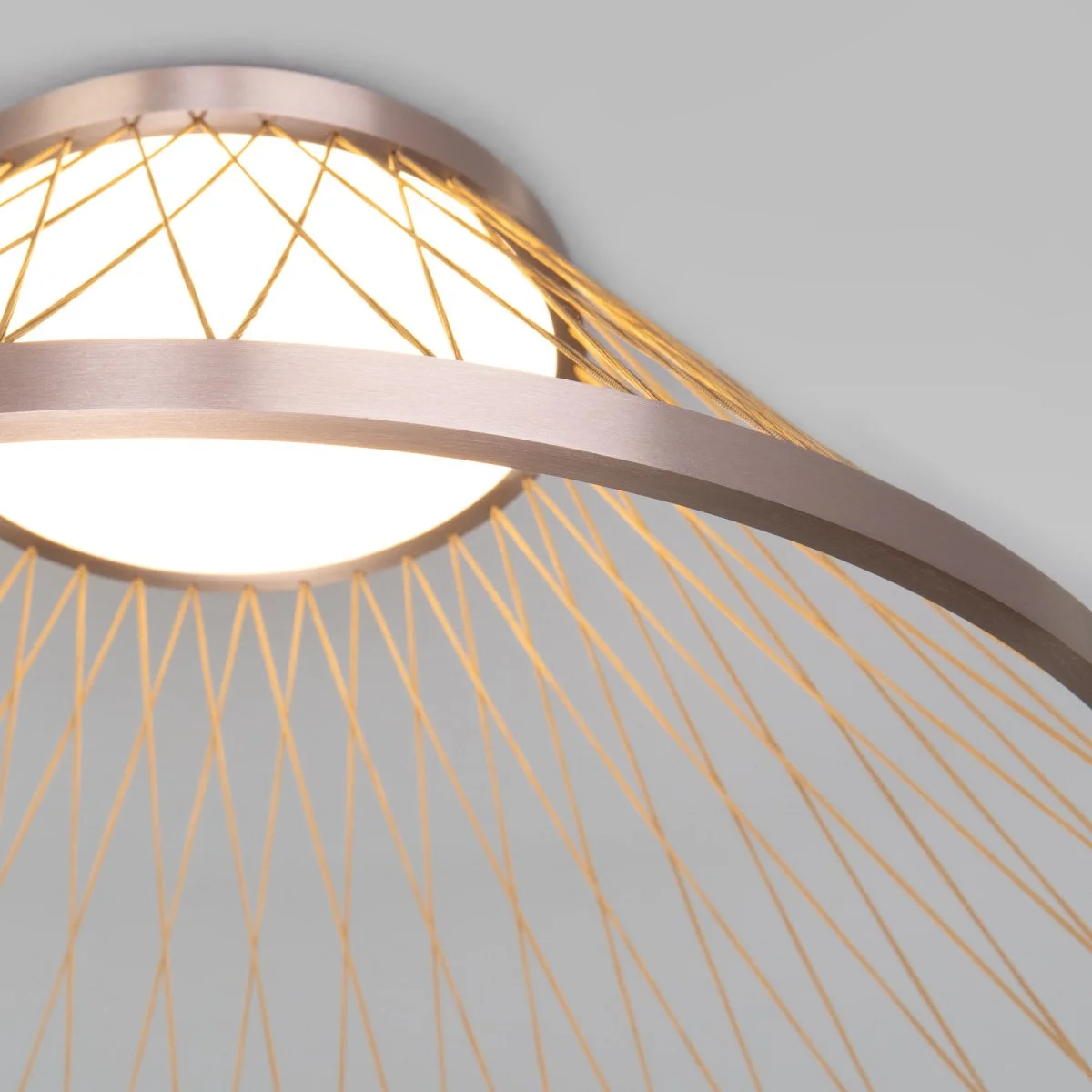 картинка Потолочный светодиодный светильник 40019/1 LED коричневый