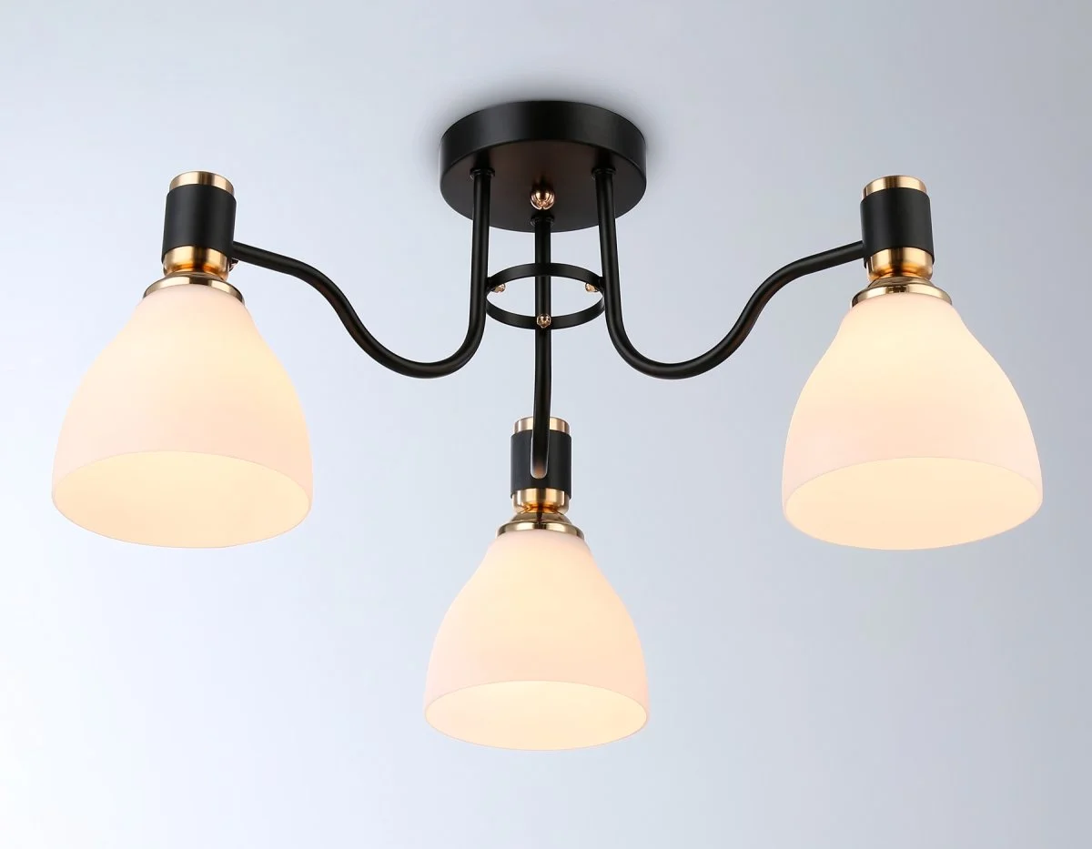 картинка Потолочный светильник TR303303