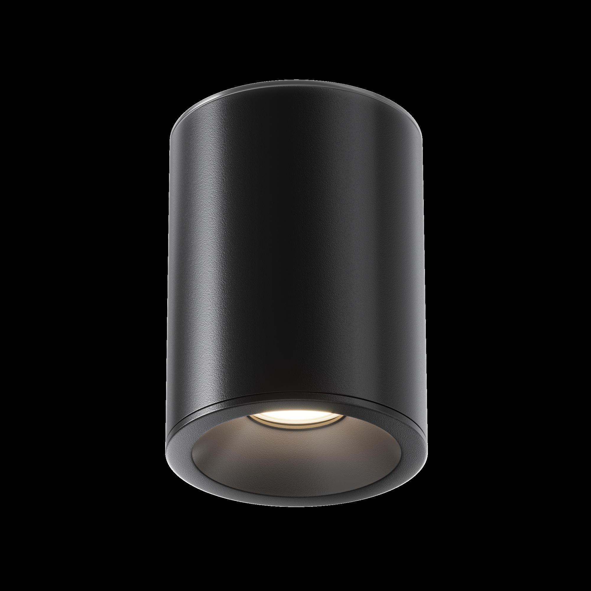 картинка Потолочный светильник Technical C029CL-01B