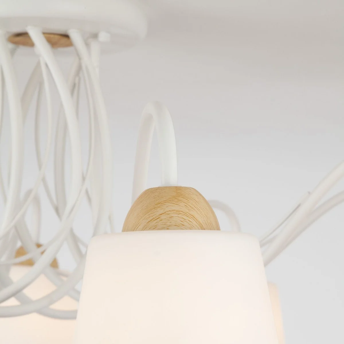 картинка Люстра с плафонами из матового стекла 70062/8 белый