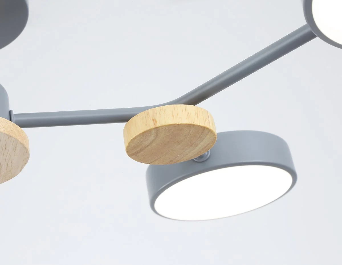 картинка Люстра светодиодная на штанге FL4859