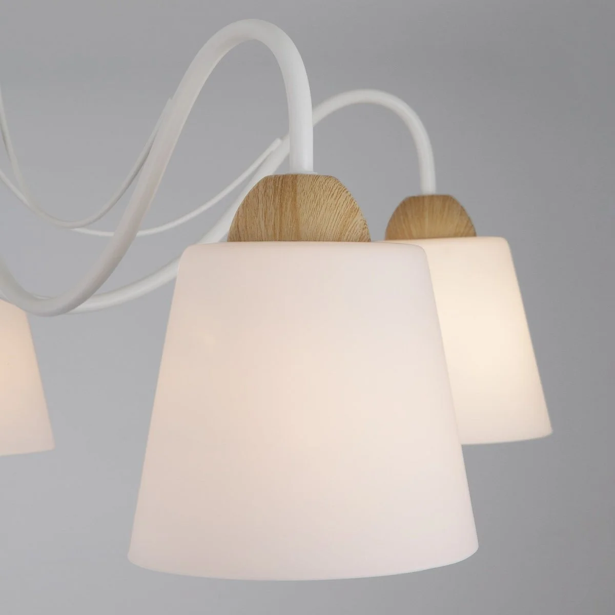 картинка Потолочная люстра со стеклянными плафонами 70062/5 белый