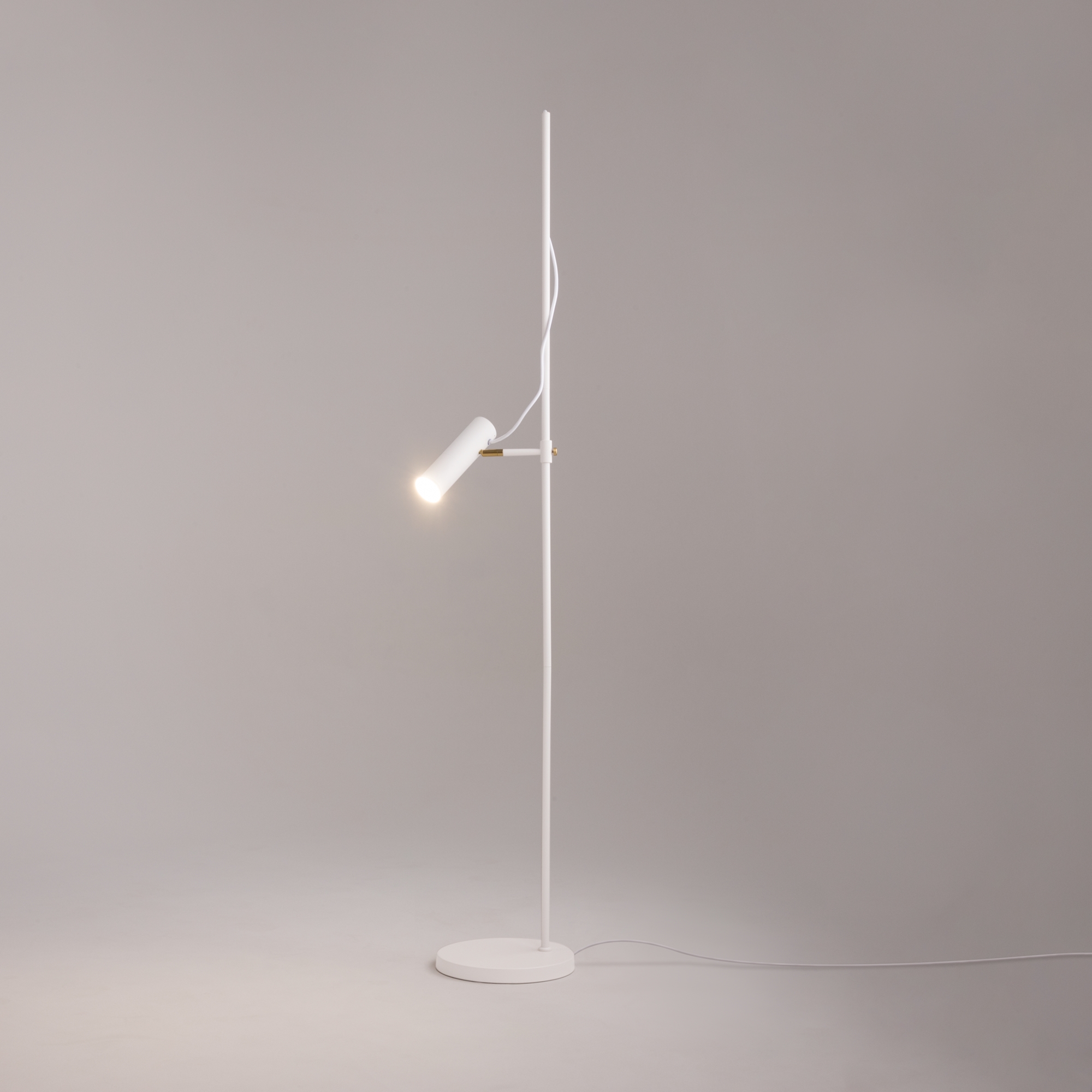 картинка Напольный светильник (торшер) Maytoni MOD129FL-01W