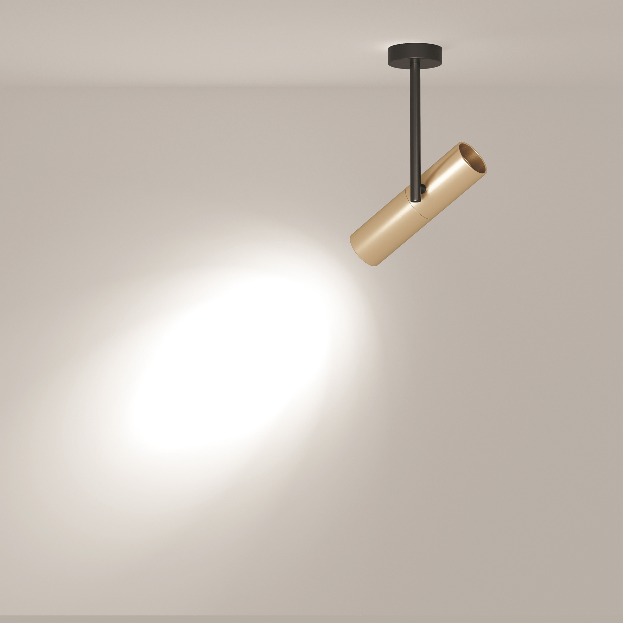 картинка Потолочный светильник Technical C020CL-01GB