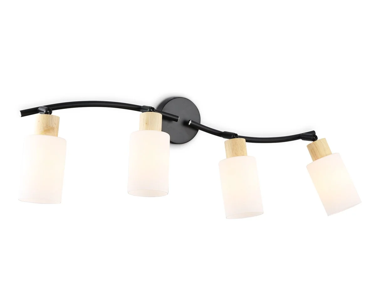 картинка Настенно-потолочный спот в стиле лофт TR8723