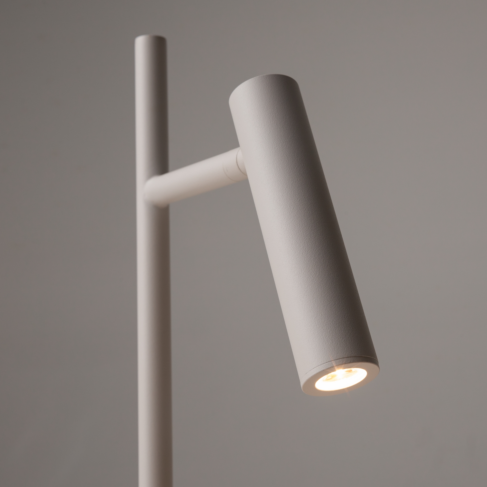 картинка Напольный светильник (торшер) Maytoni Z010FL-L8W3K