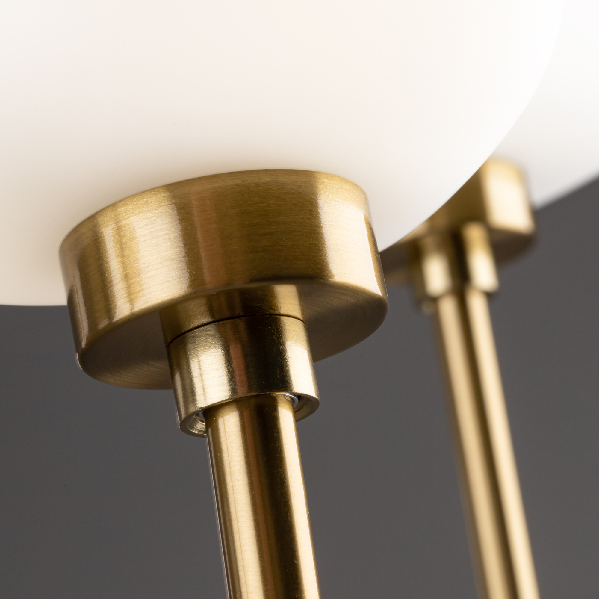 картинка Потолочный светильник Freya FR5373CL-06BS