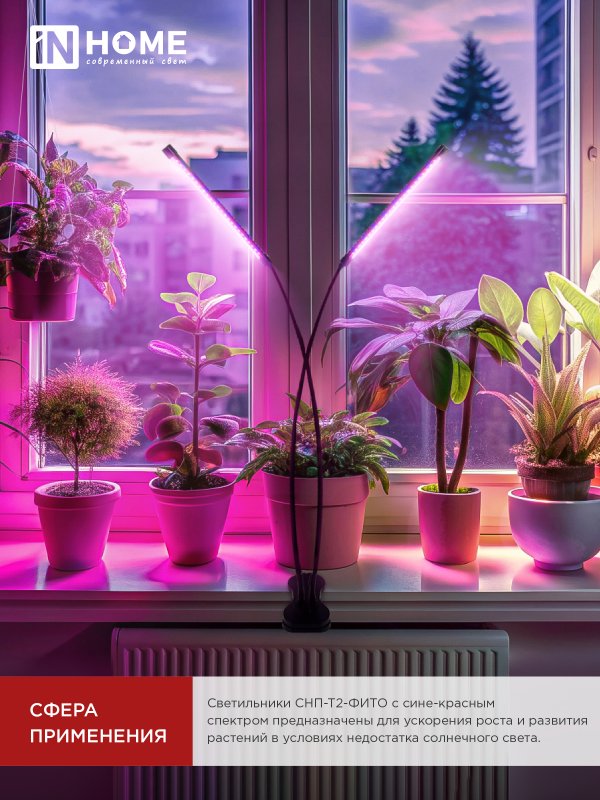 картинка Светильник настольный на прищепке светодиодный СНП-Т2-ФИТО 2П20 красно-синий 20Вт 2 плафона, пульт на шнуре IN HOME