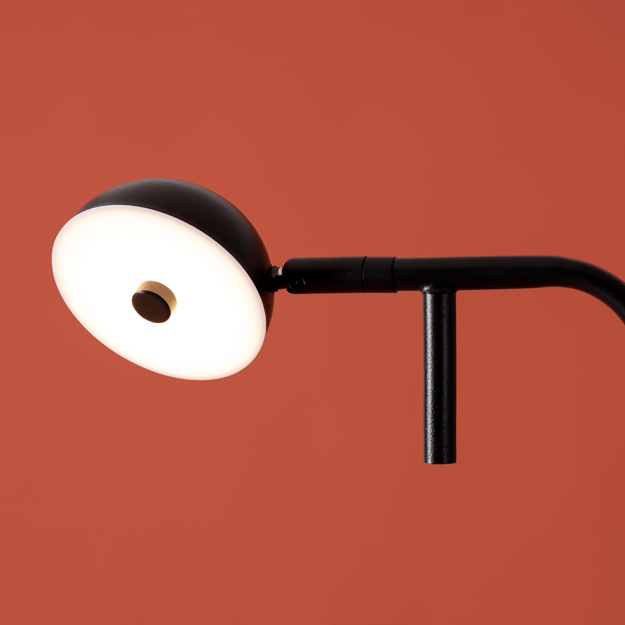 картинка Напольный светильник (торшер) Freya FR5549FL-L5B